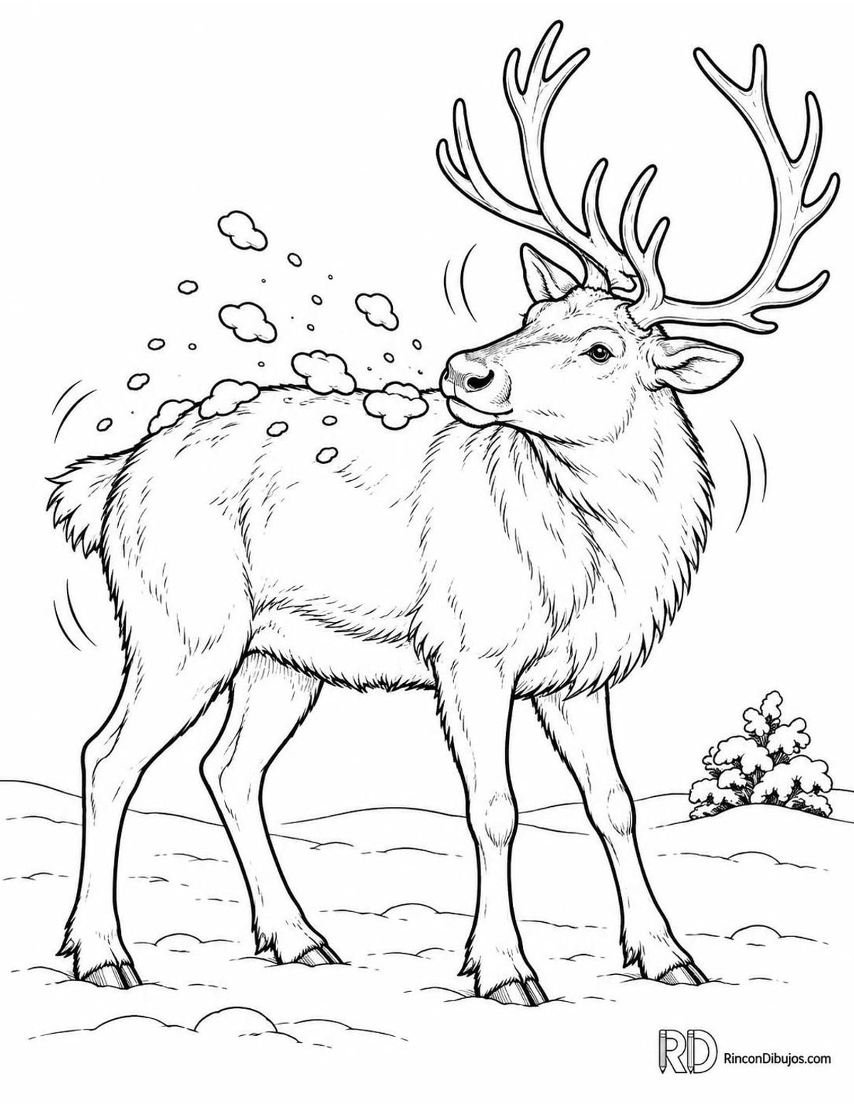 Dibujo de reno sacudiéndose para colorear Dibujo de reno sacudiéndose para colorear