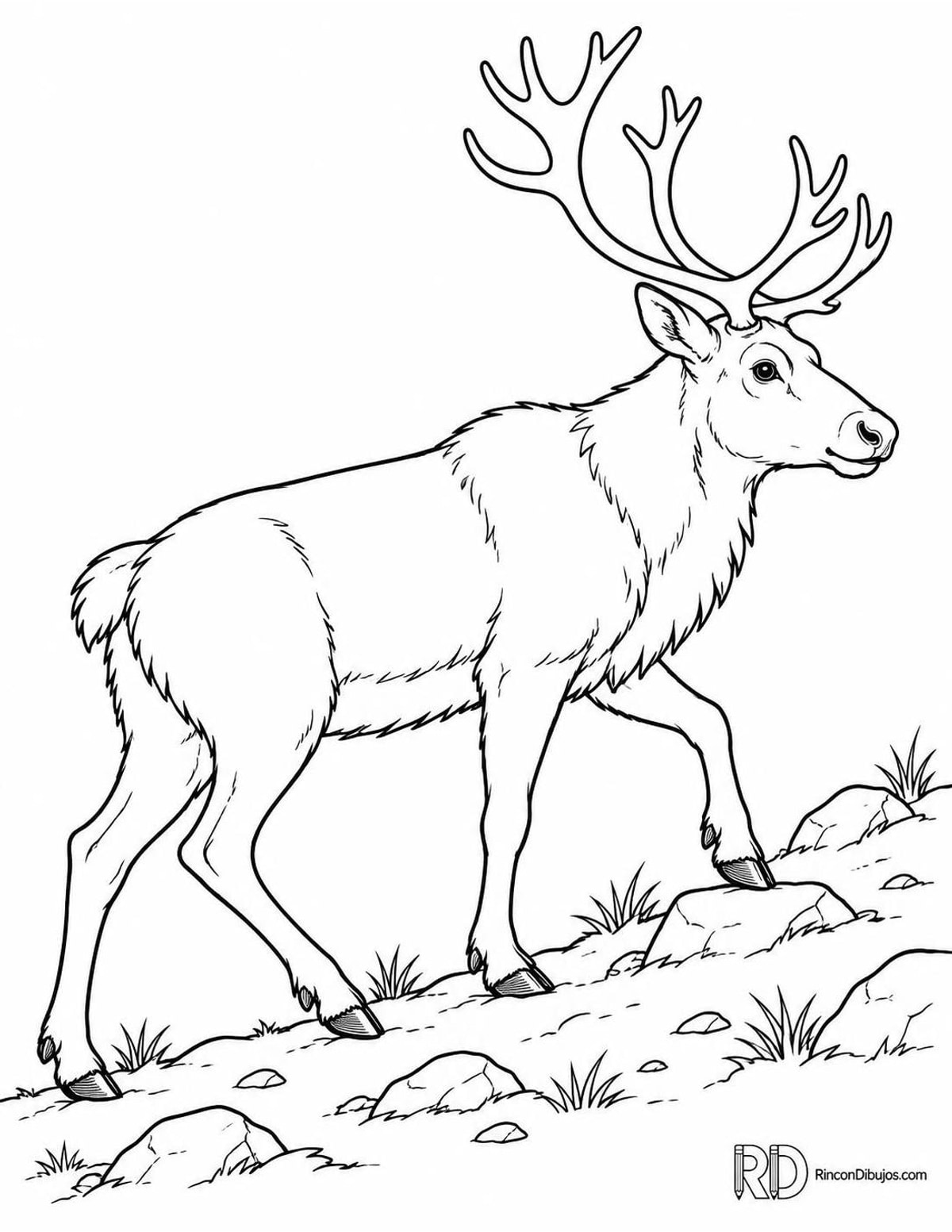 Dibujo de reno subiendo para colorear Dibujo de reno subiendo para colorear
