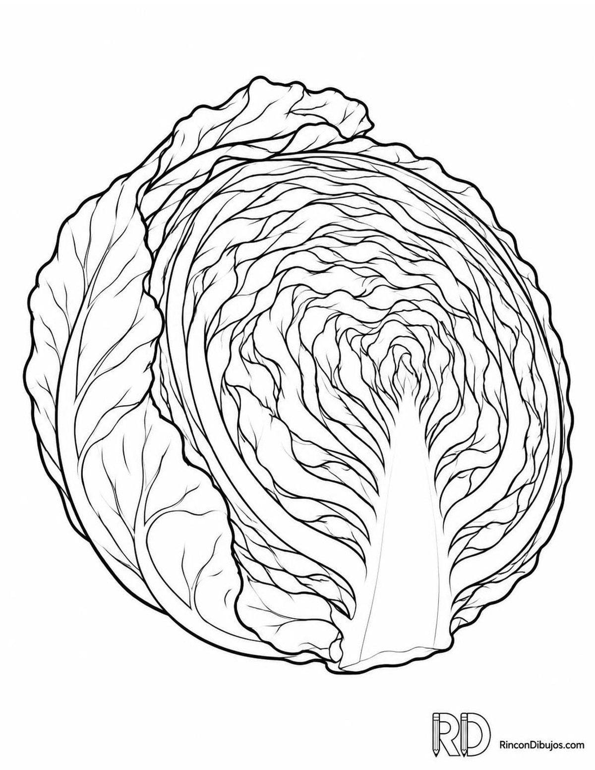 Dibujo de repollo cortado para colorear