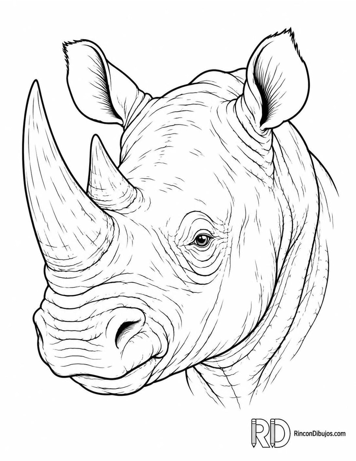 Dibujo de rinoceronte con arrugas alrededor para colorear Dibujo de rinoceronte con arrugas alrededor para colorear