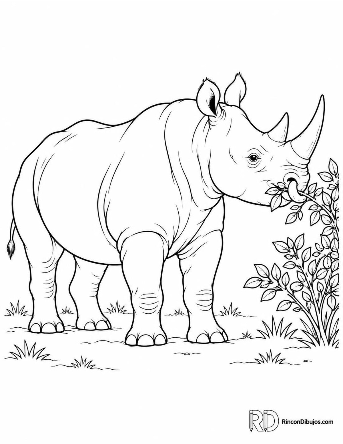 Dibujo de rinoceronte negro para colorear Dibujo de rinoceronte negro para colorear