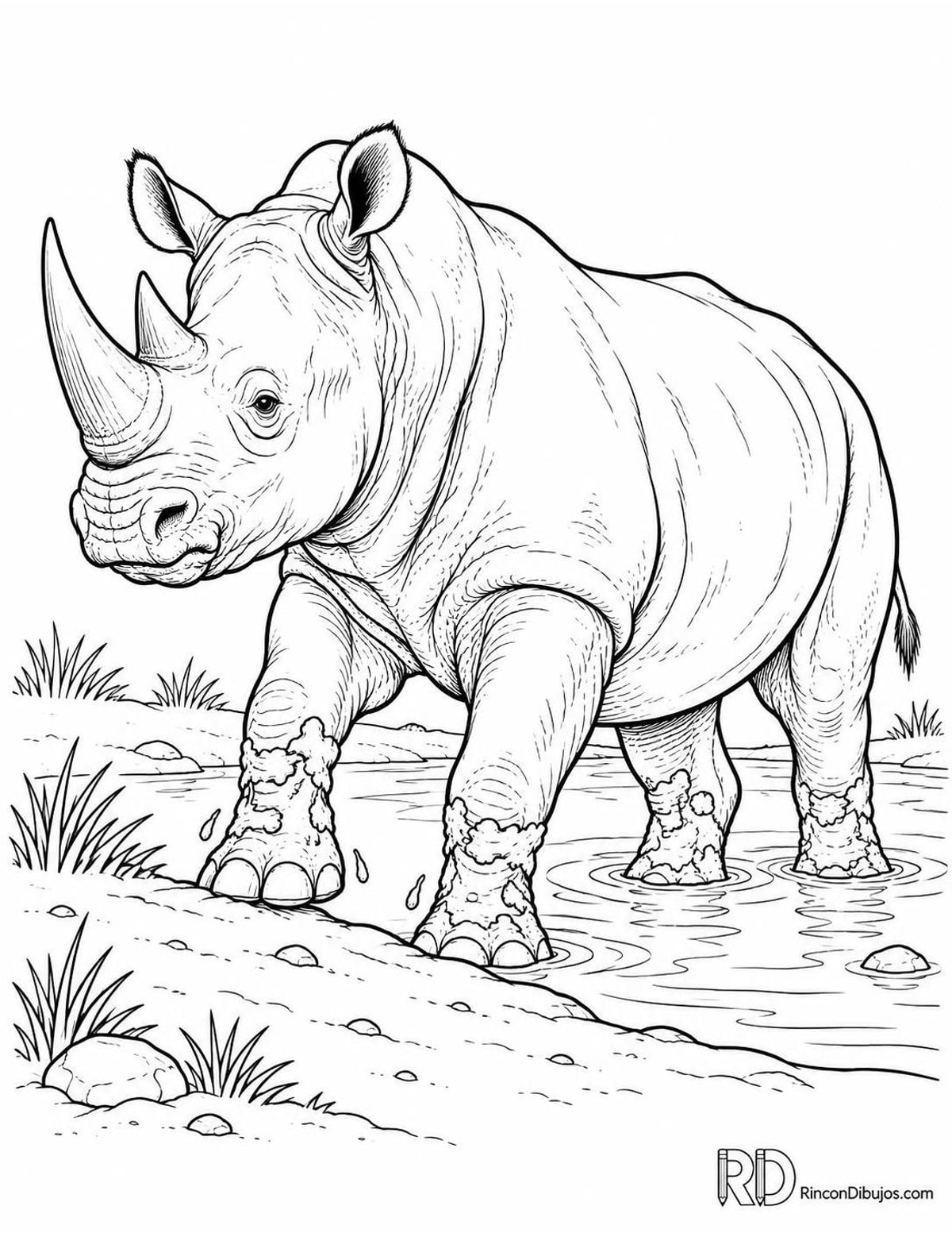 Dibujo de rinoceronte saliendo del agua para colorear Dibujo de rinoceronte saliendo del agua para colorear