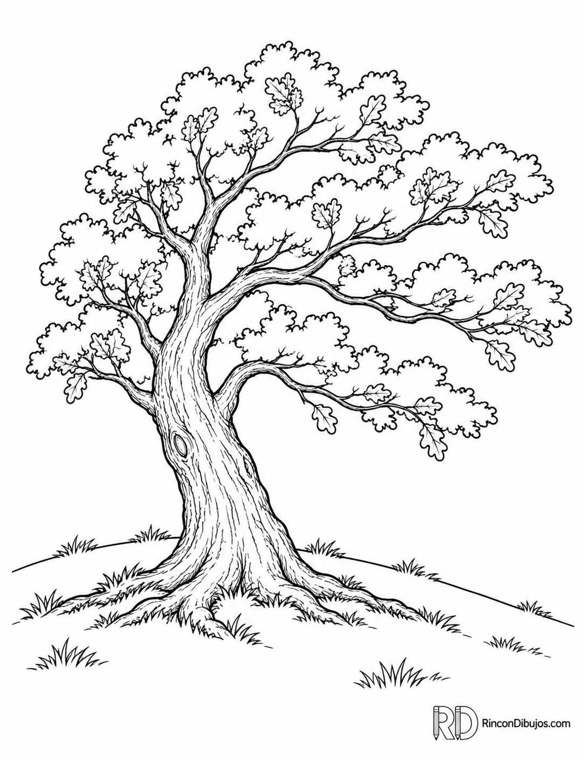 Dibujo de roble al viento para colorear Dibujo de roble al viento para colorear