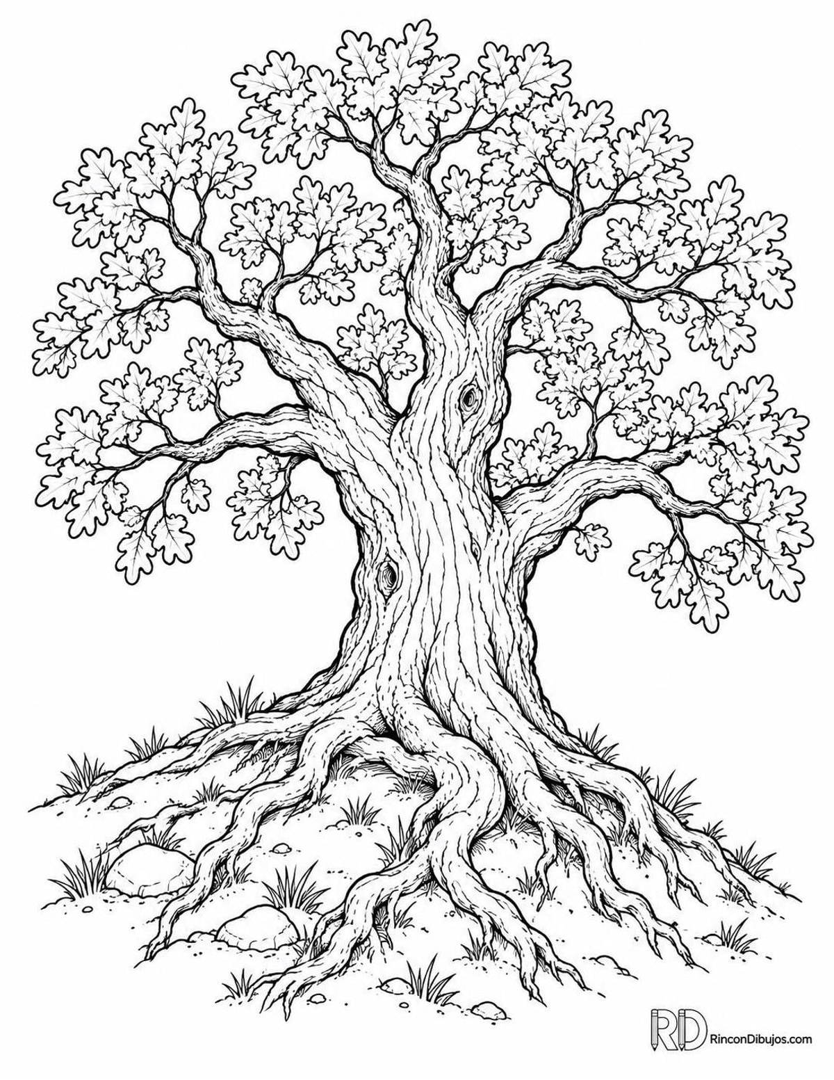 Dibujo de roble antiguo para colorear Dibujo de roble antiguo para colorear
