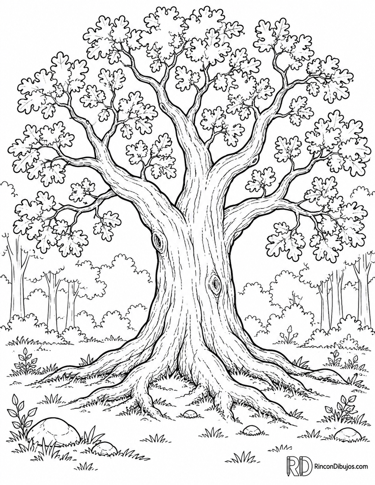 Dibujo de roble grande para colorear Dibujo de roble grande para colorear