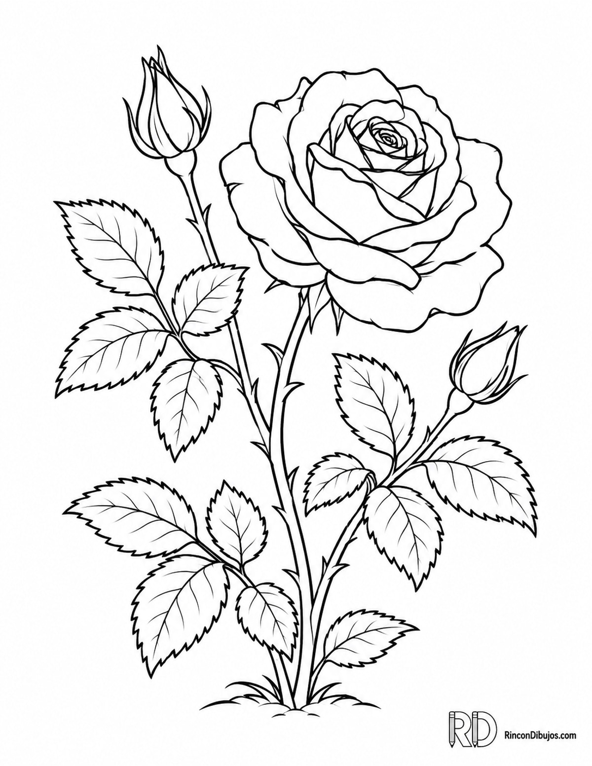 Dibujo de rosal pequeño para colorear Dibujo de rosal pequeño para colorear