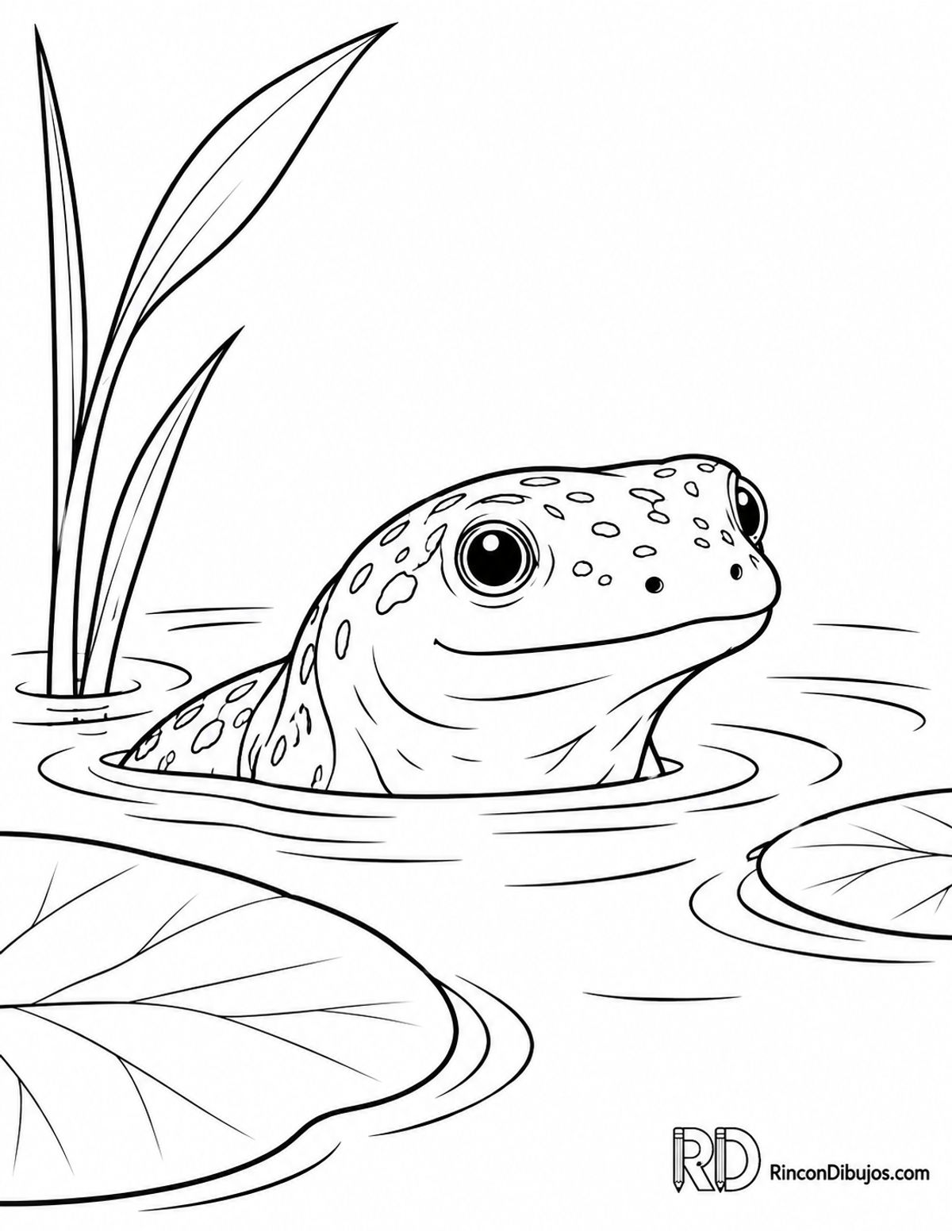 Dibujo de salamandra acuática para colorear Dibujo de salamandra acuática para colorear