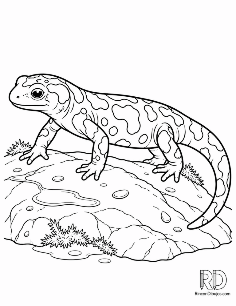 Salamandras para colorear