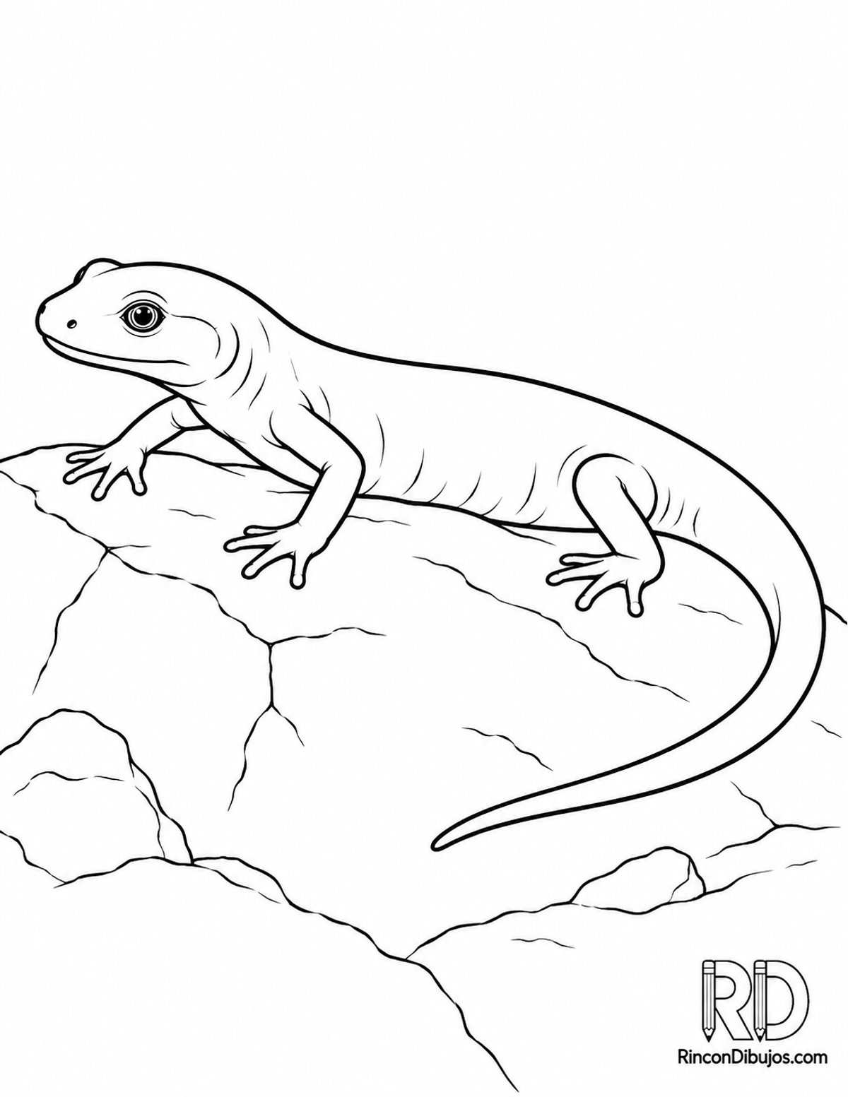 Dibujo de salamandra de cueva para colorear Dibujo de salamandra de cueva para colorear