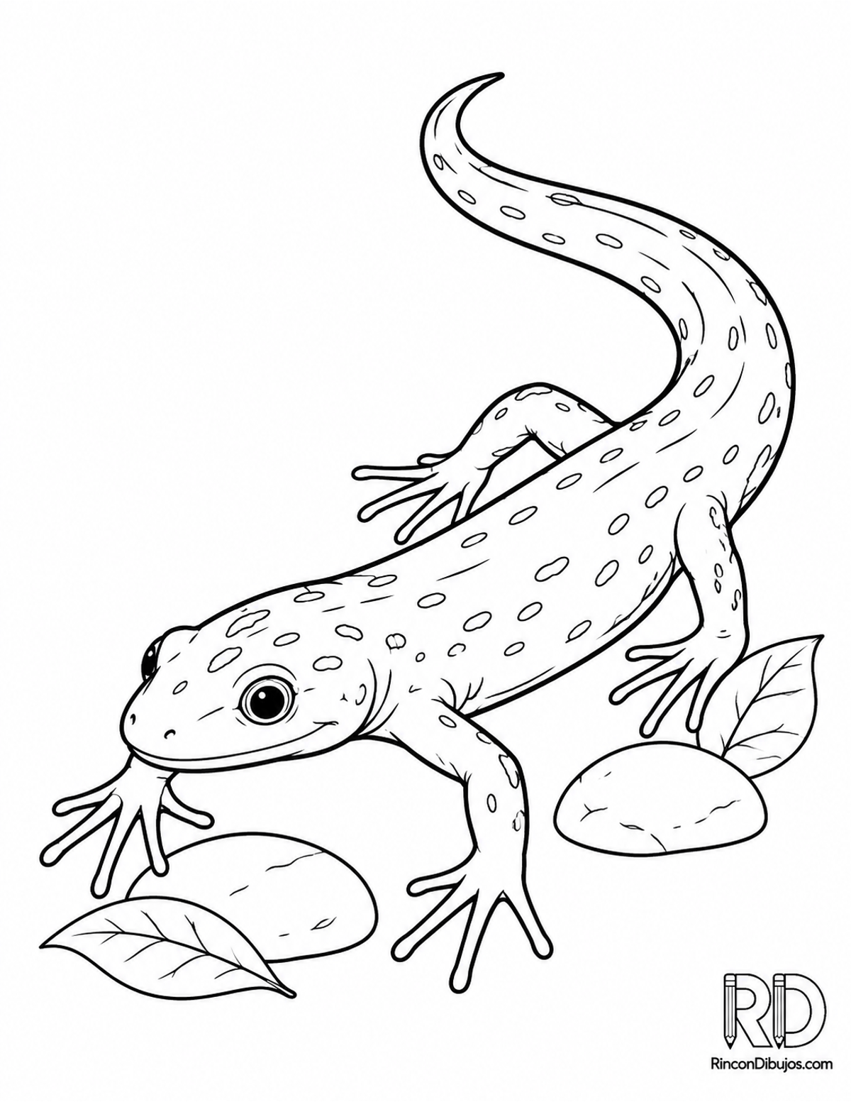 Dibujo de salamandra de dedos para colorear Dibujo de salamandra de dedos para colorear