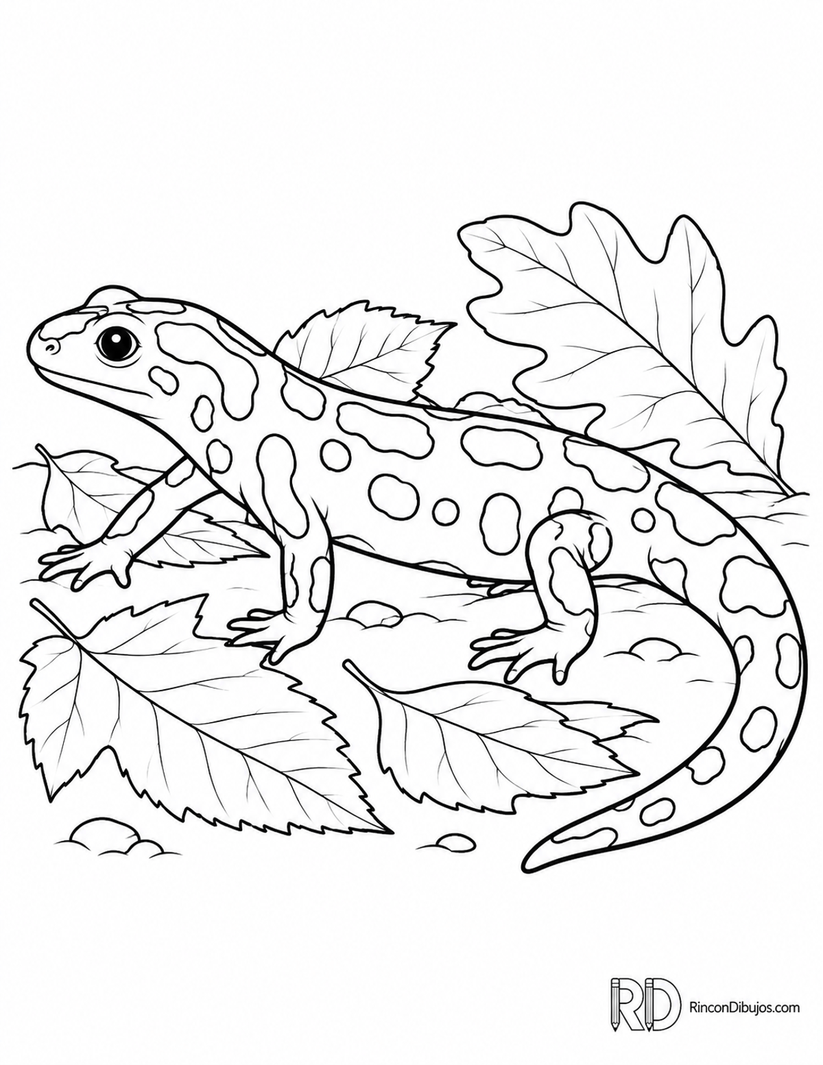Dibujo de salamandra de fuego para colorear Dibujo de salamandra de fuego para colorear