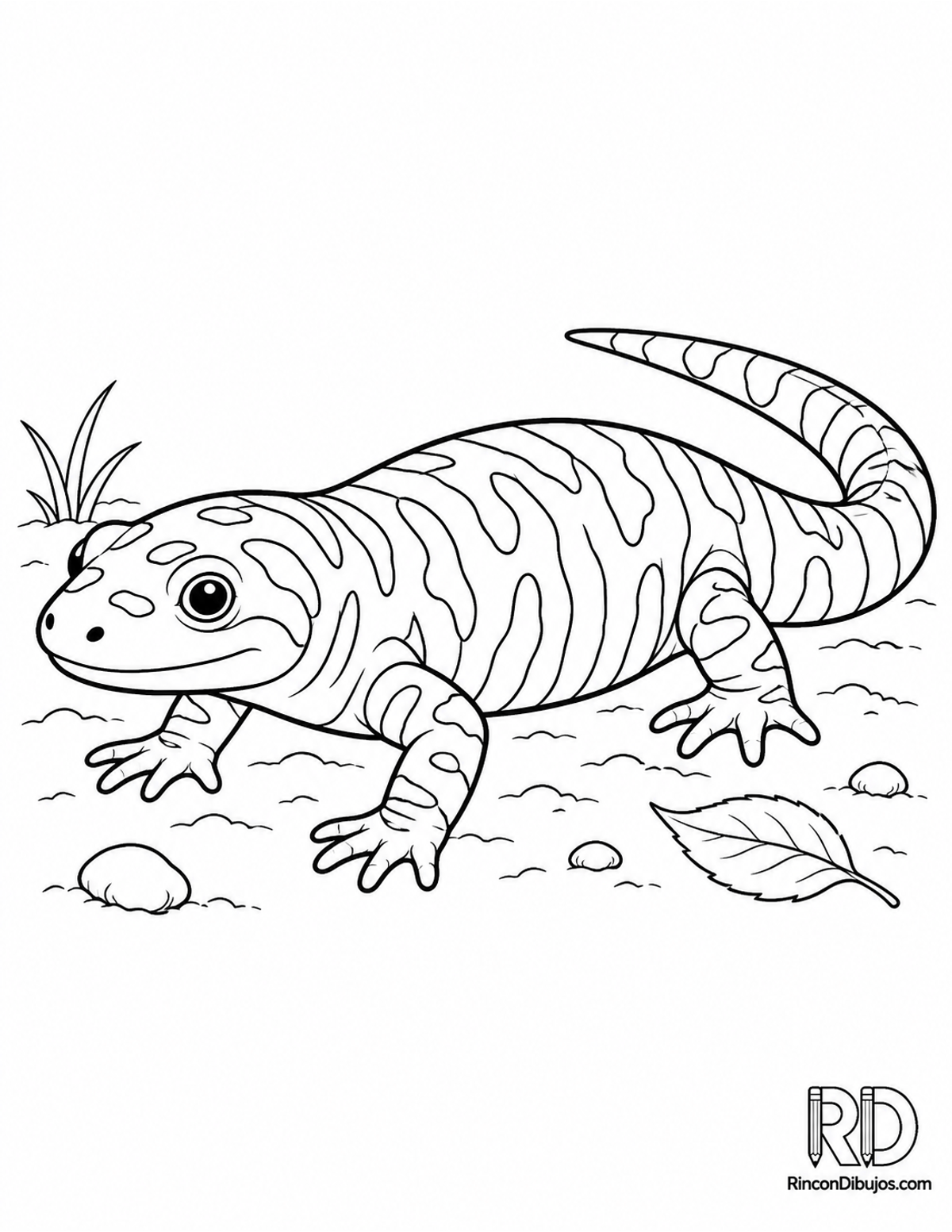 Dibujo de salamandra tigre para colorear Dibujo de salamandra tigre para colorear