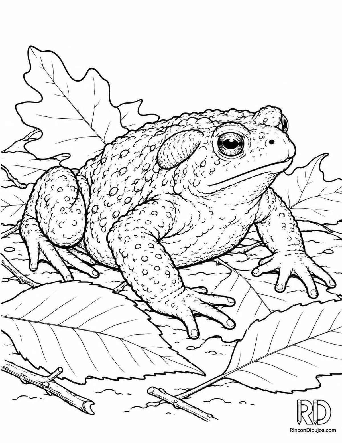 Dibujo de sapo común bosque para colorear Dibujo de sapo común bosque para colorear