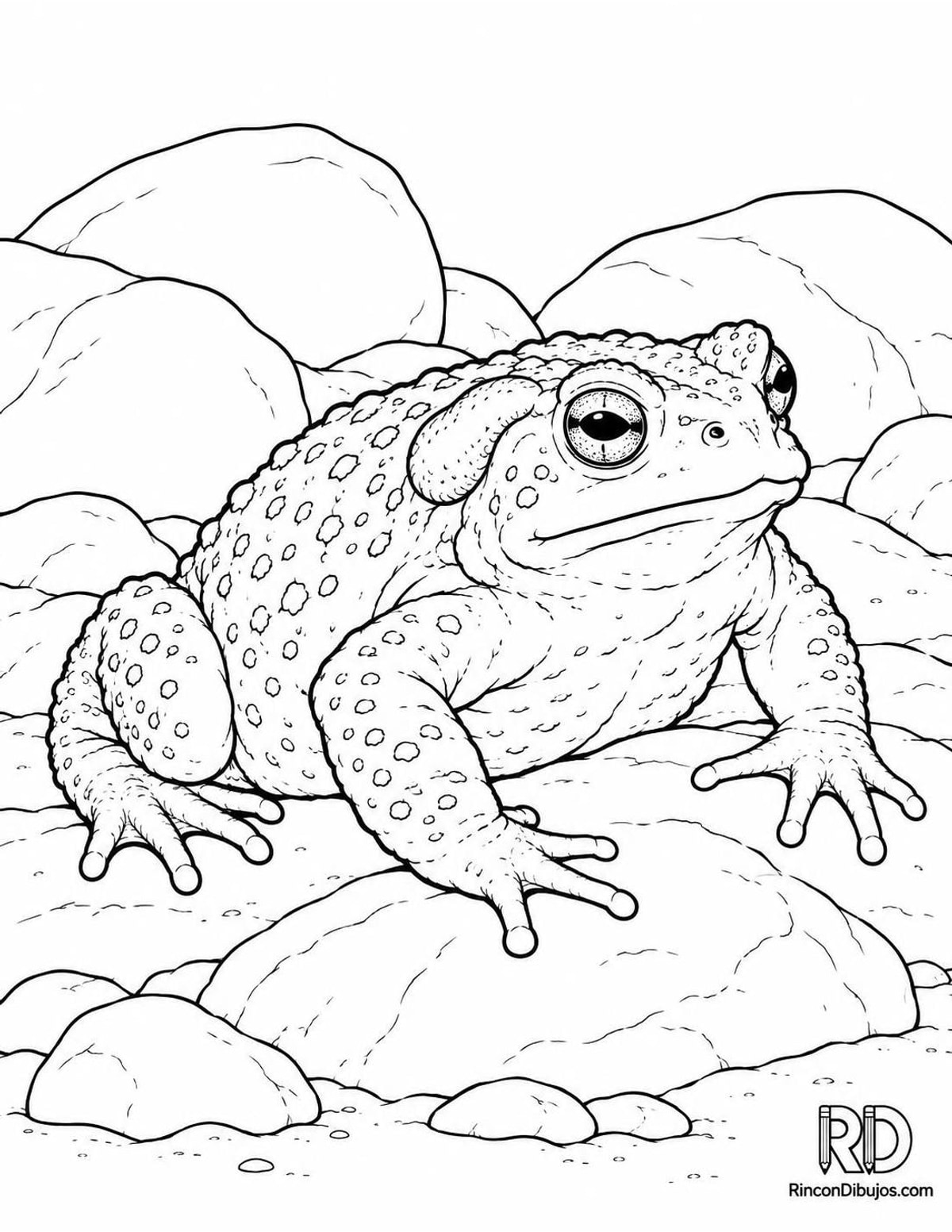 Dibujo de sapo común piedras para colorear Dibujo de sapo común piedras para colorear