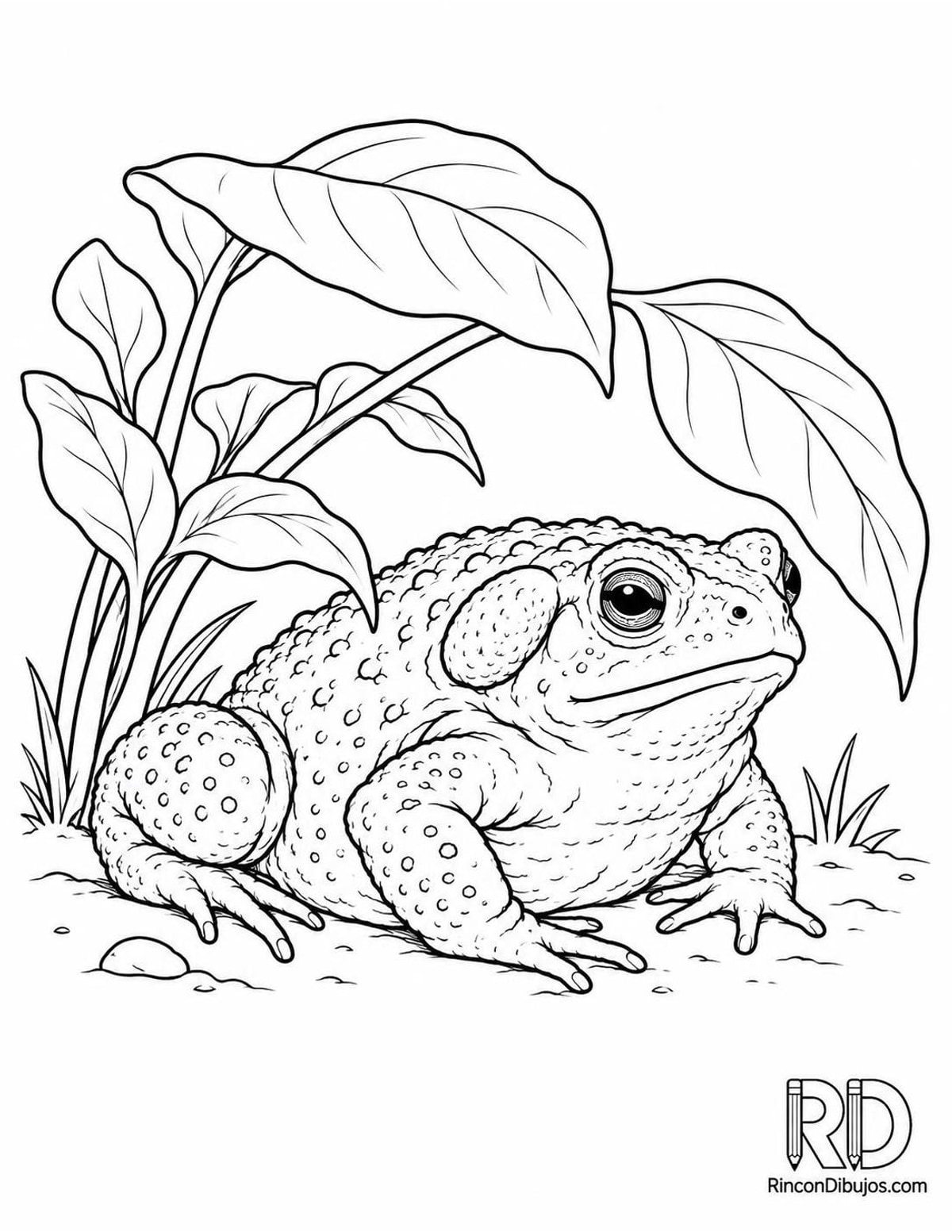 Dibujo de sapo de caña planta para colorear Dibujo de sapo de caña planta para colorear