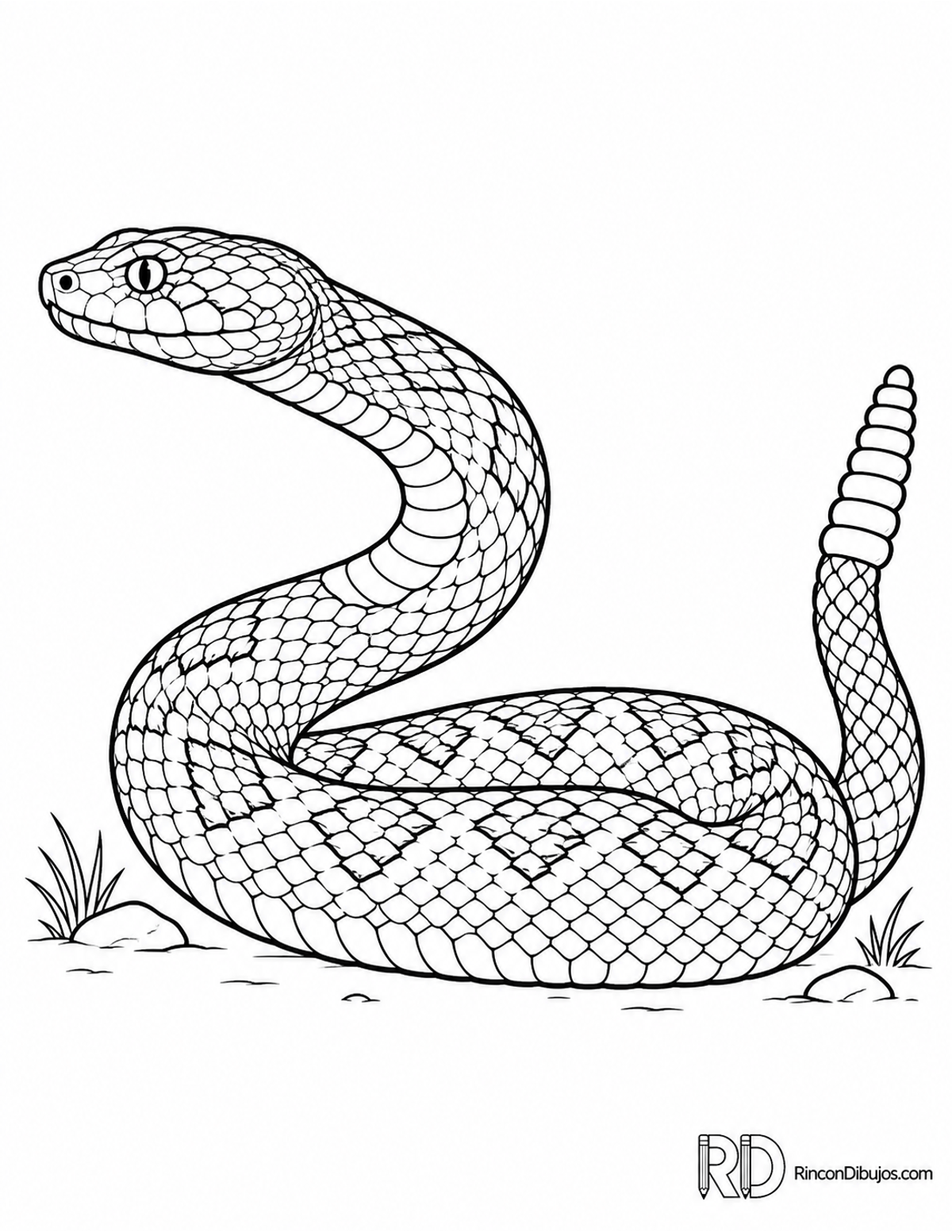 Dibujo de serpiente cascabel para colorear Dibujo de serpiente cascabel para colorear