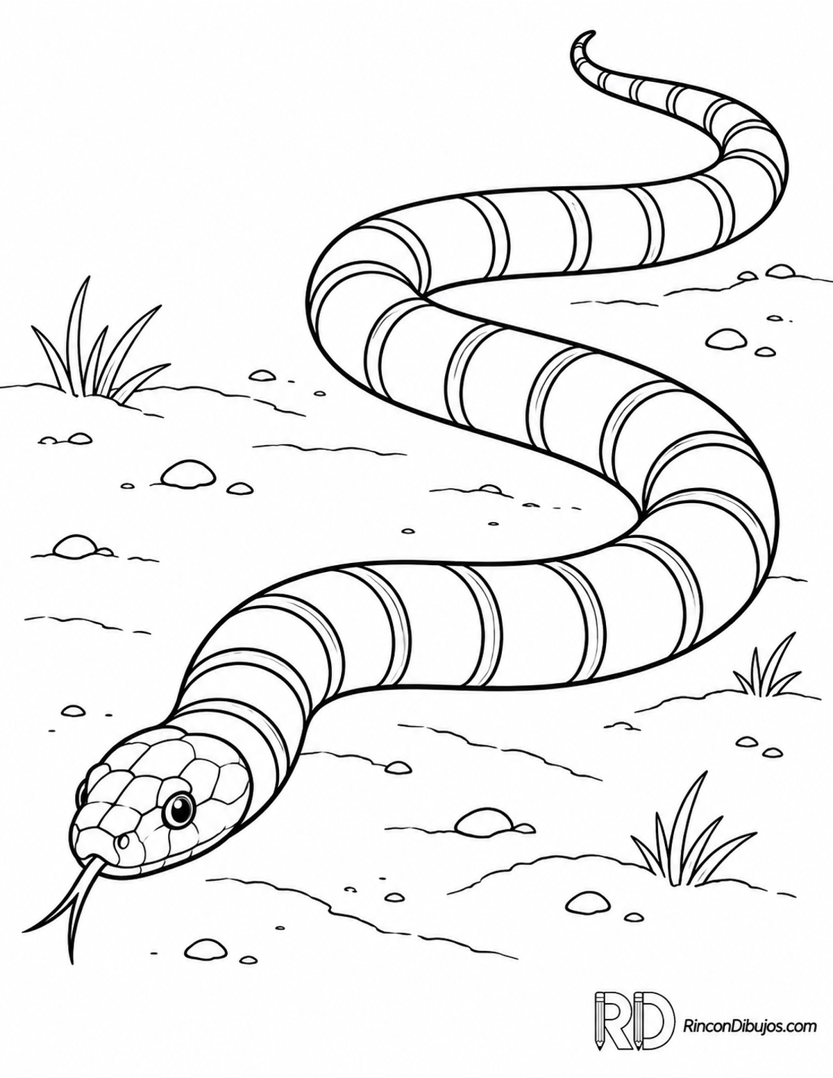 Dibujo de serpiente coral para colorear Dibujo de serpiente coral para colorear