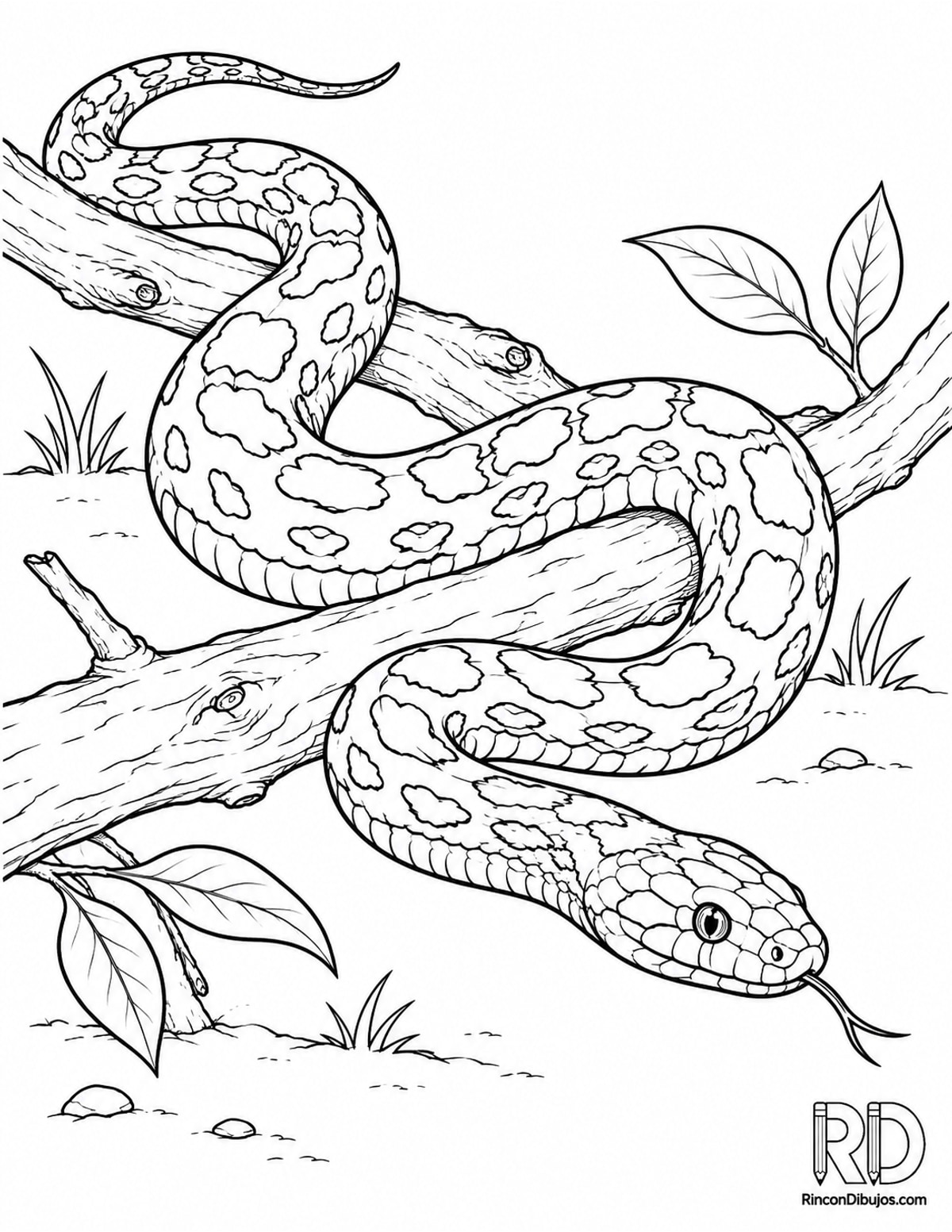 Dibujo de serpiente de maíz para colorear