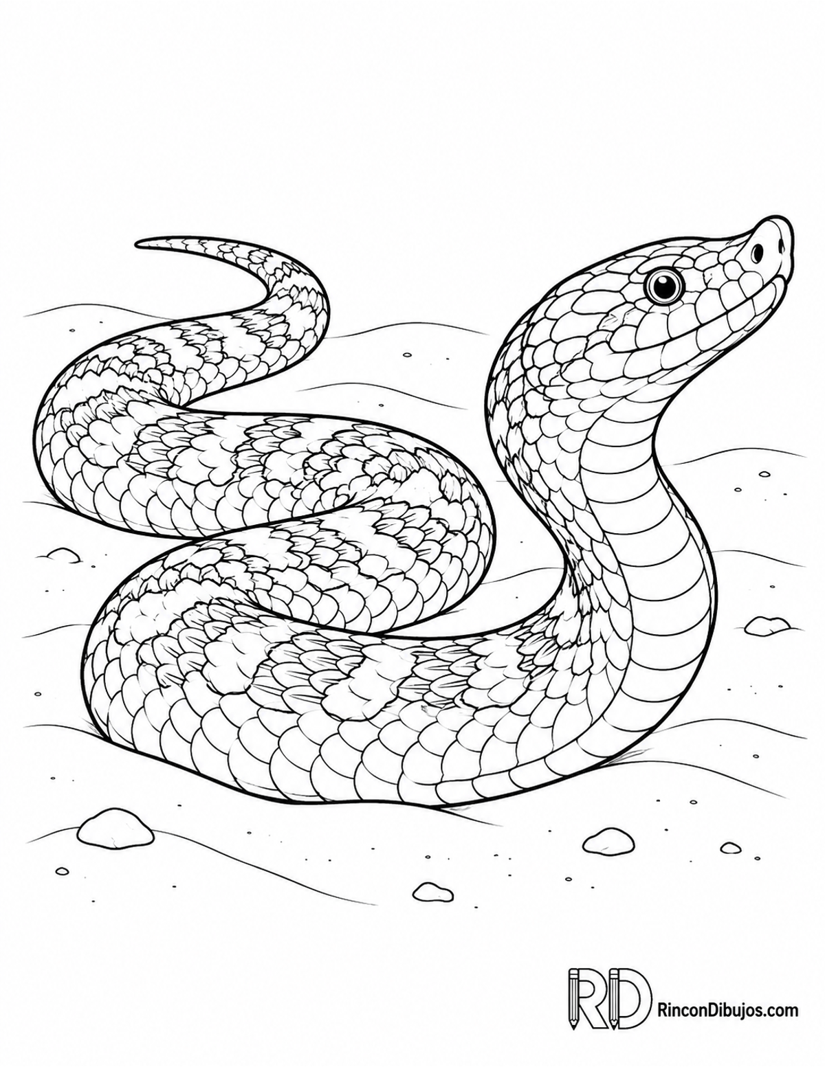 Dibujo de serpiente hocicuda para colorear Dibujo de serpiente hocicuda para colorear