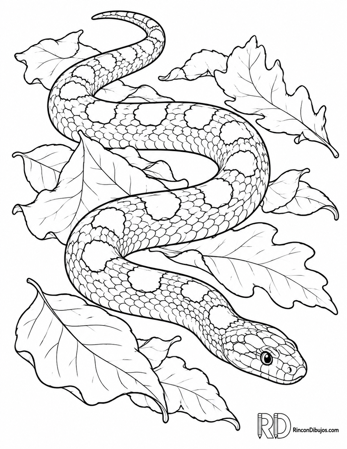 Dibujo de serpiente maíz para colorear Dibujo de serpiente maíz para colorear