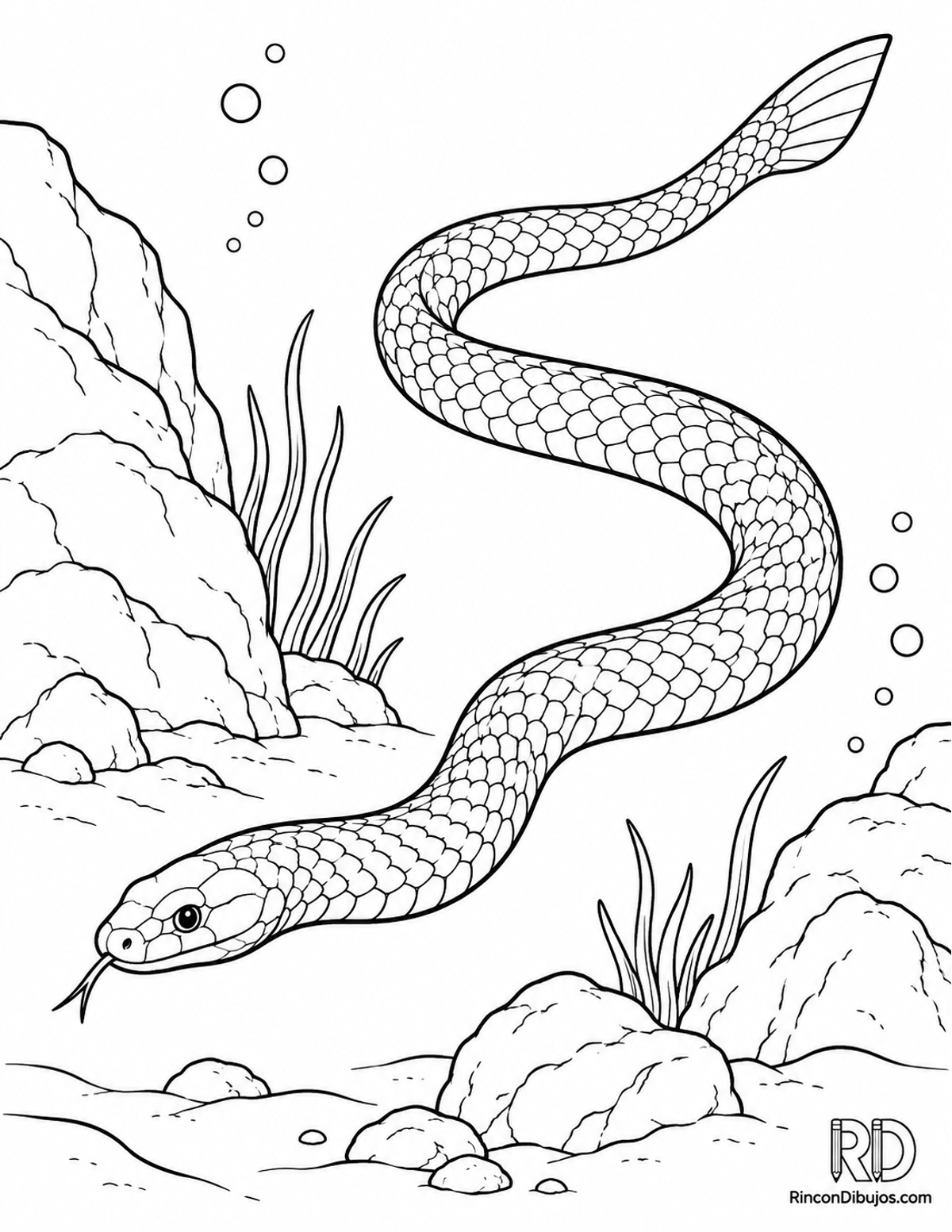 Dibujo de serpiente marina para colorear Dibujo de serpiente marina para colorear
