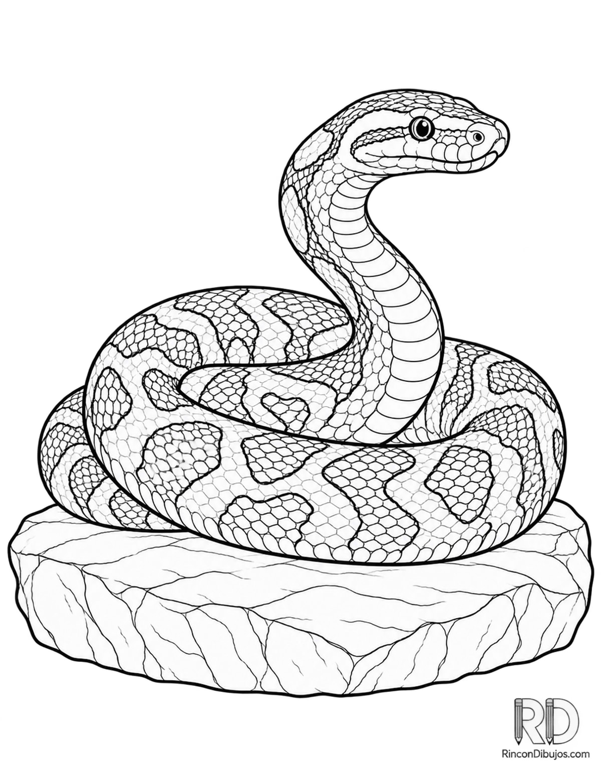 Dibujo de serpiente pitón enrollada para colorear