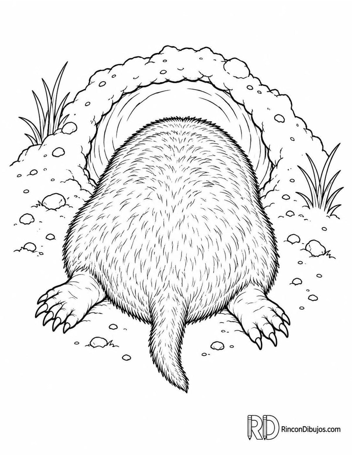 Dibujo de topo europeo entrando para colorear