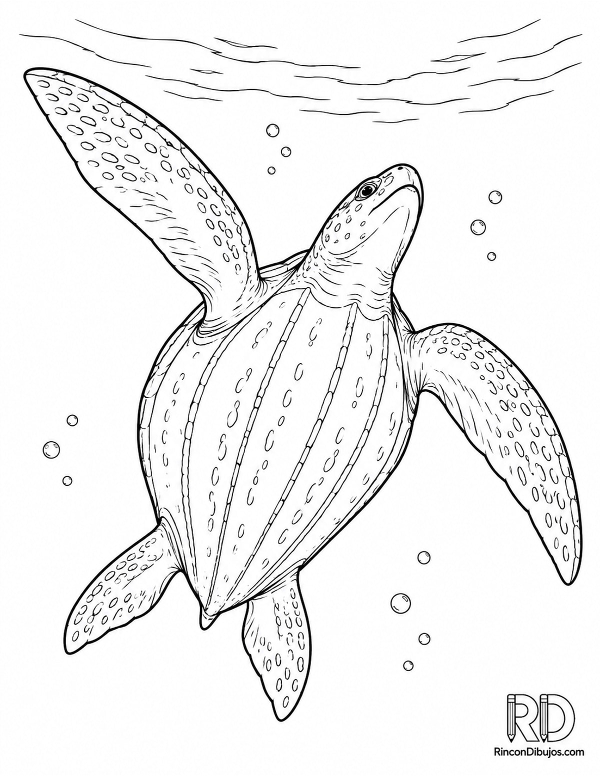 Dibujo de tortuga laúd nadando para colorear