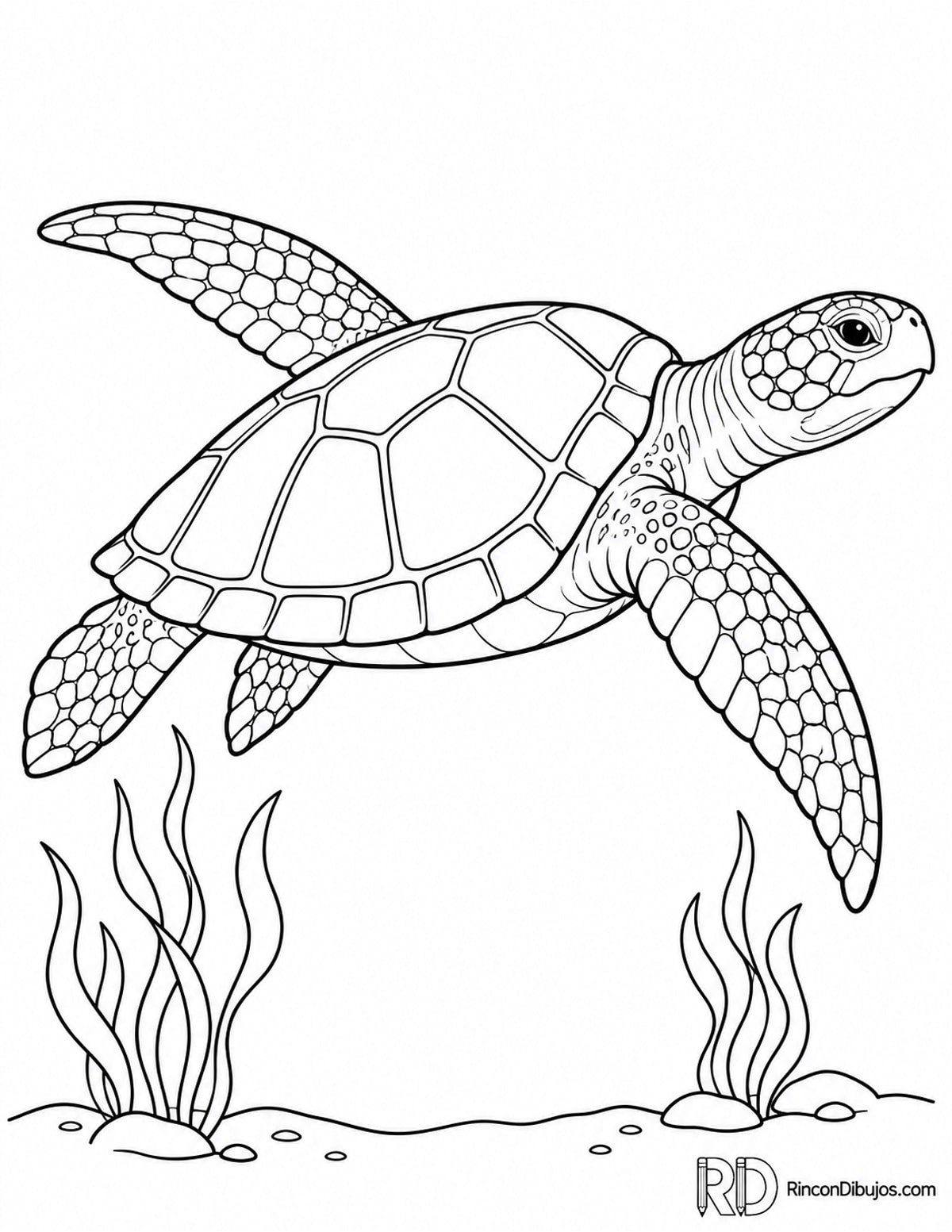 Dibujo de tortuga marina nadando para colorear