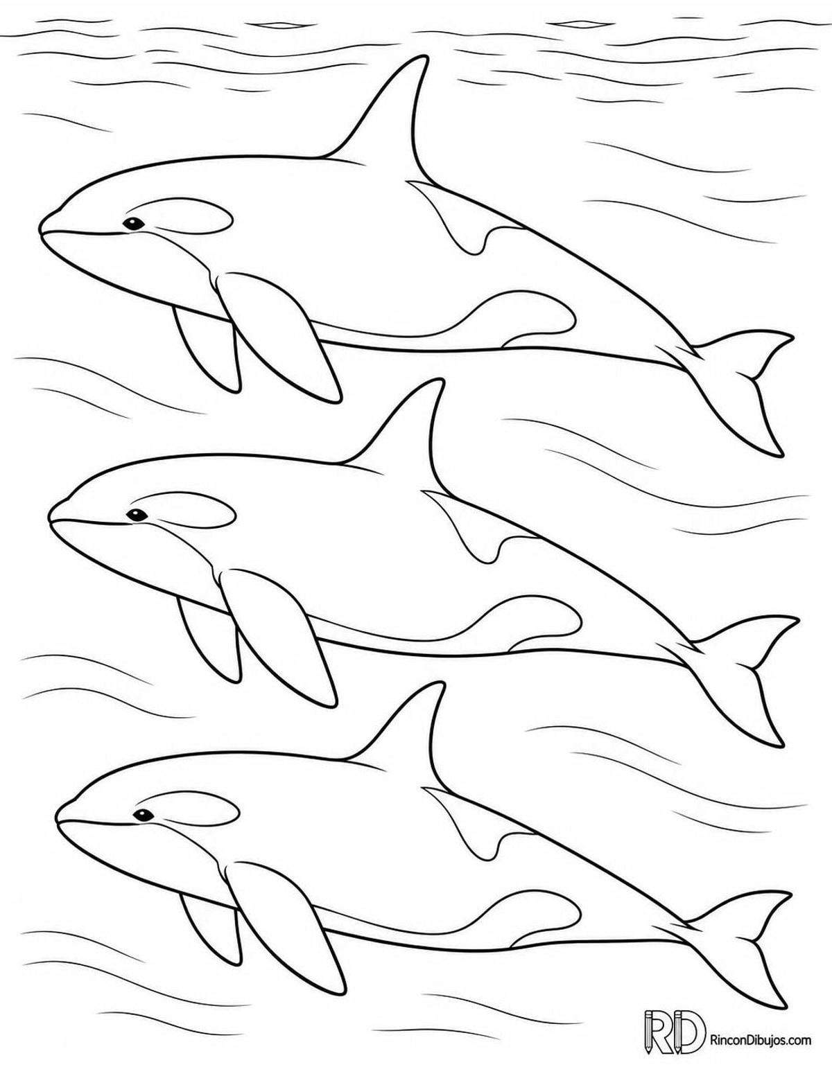 Dibujo de tres orcas para colorear Dibujo de tres orcas para colorear