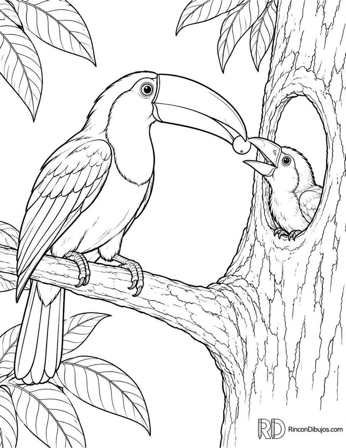 Dibujo de tucán alimentando cría para colorear Dibujo de tucán alimentando cría para colorear