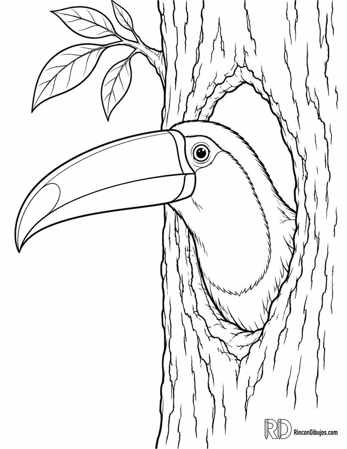 Dibujo de tucán ariel para colorear Dibujo de tucán ariel para colorear