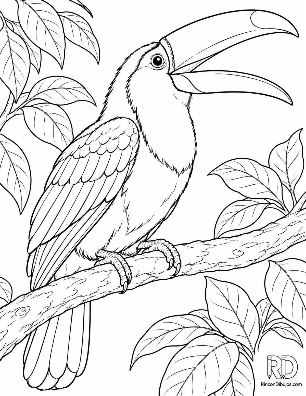 Dibujo de tucán cantando para colorear Dibujo de tucán cantando para colorear