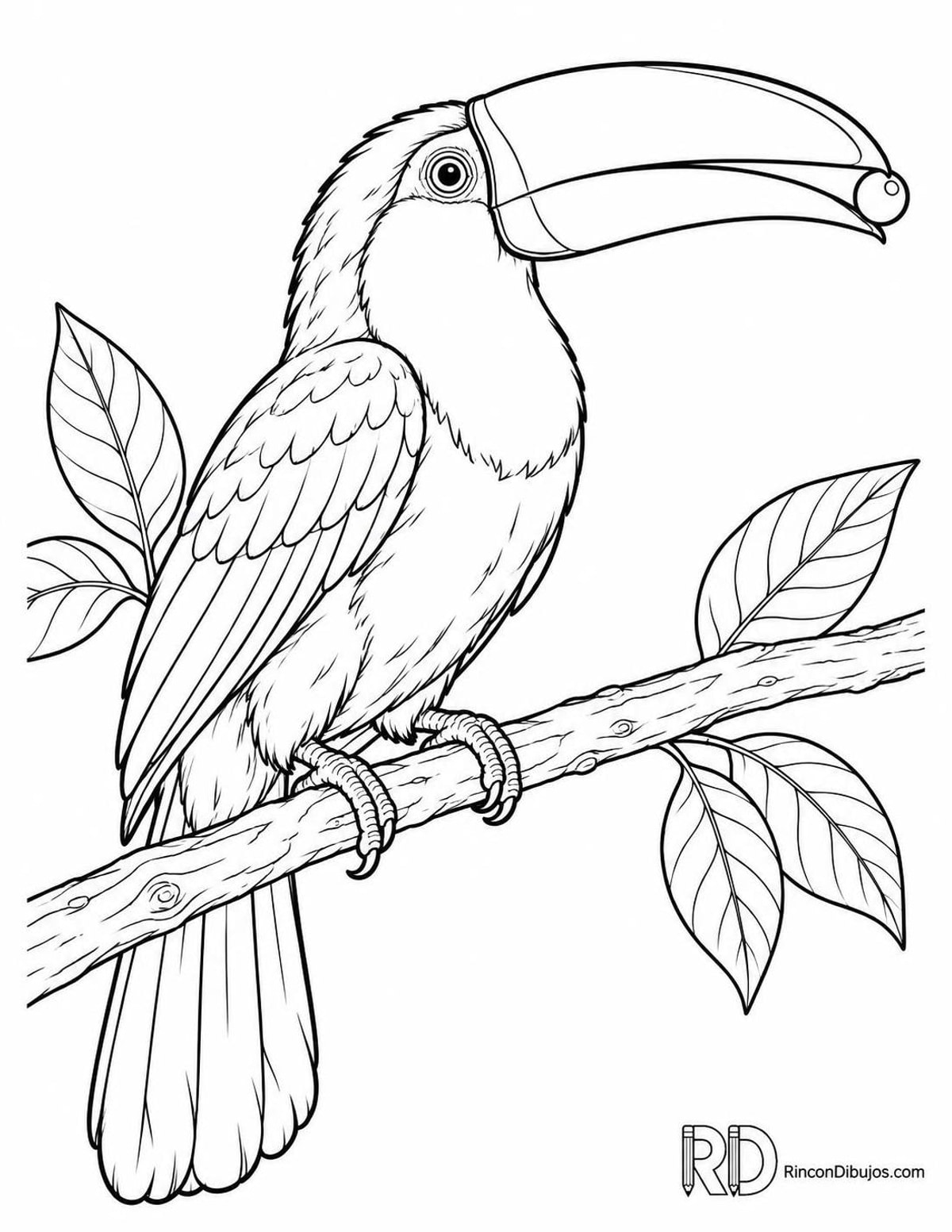 Dibujo de tucán con baya para colorear Dibujo de tucán con baya para colorear