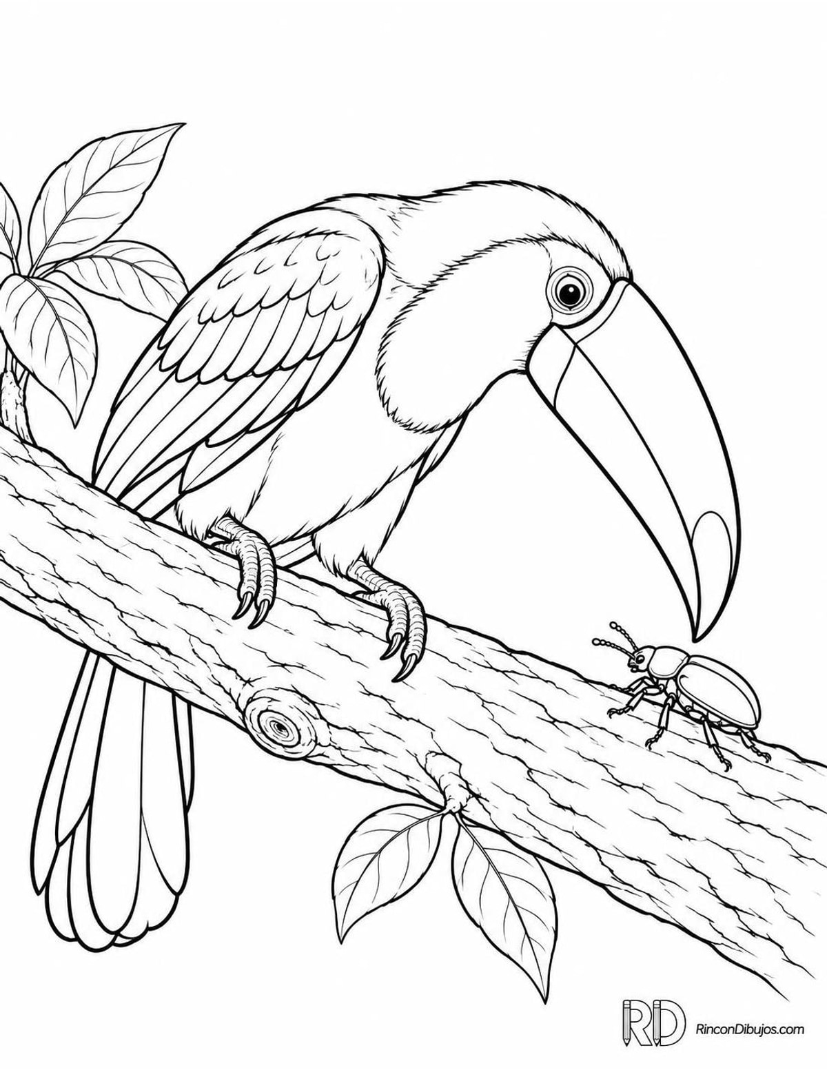 Dibujo de tucán con escarabajo para colorear Dibujo de tucán con escarabajo para colorear