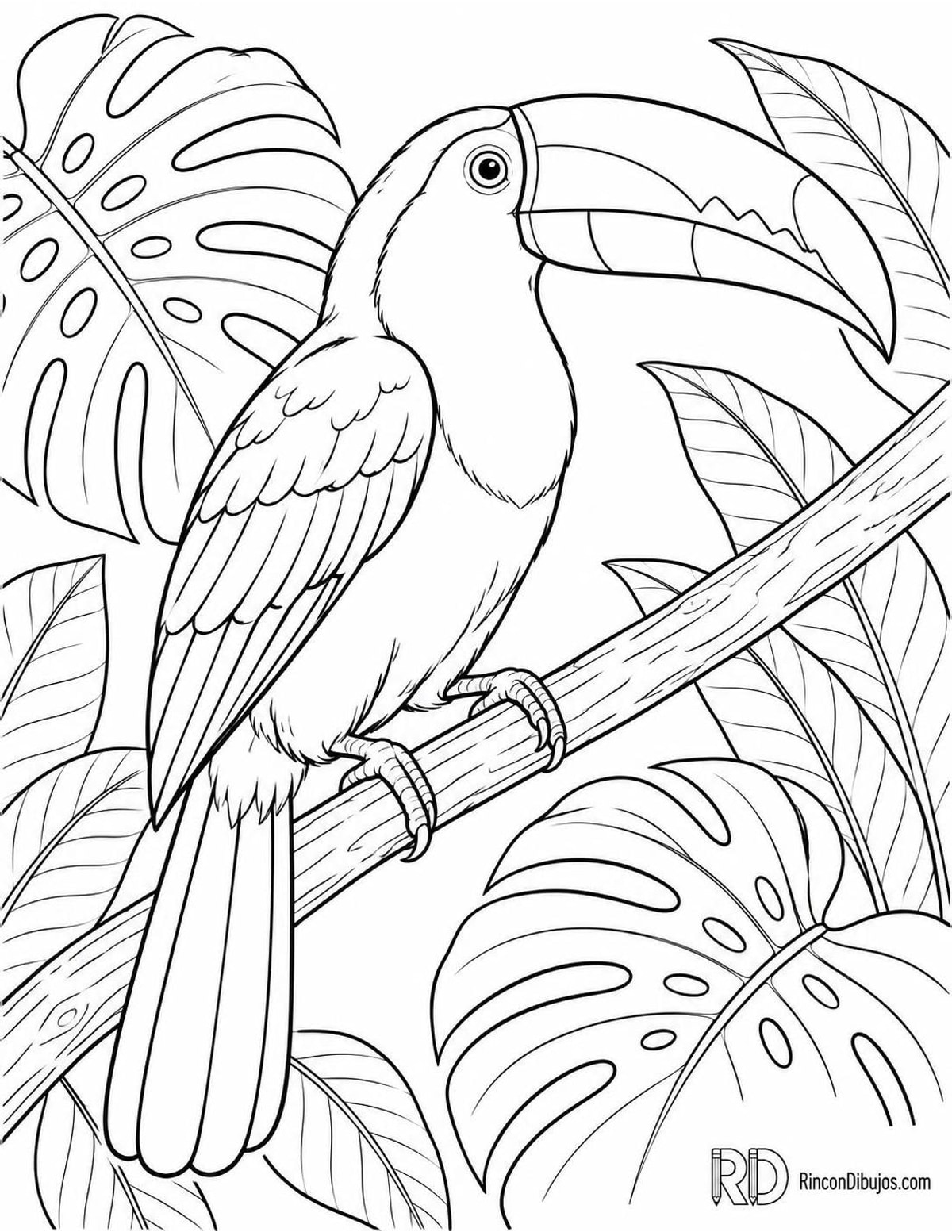 Dibujo de tucán pico iris para colorear Dibujo de tucán pico iris para colorear