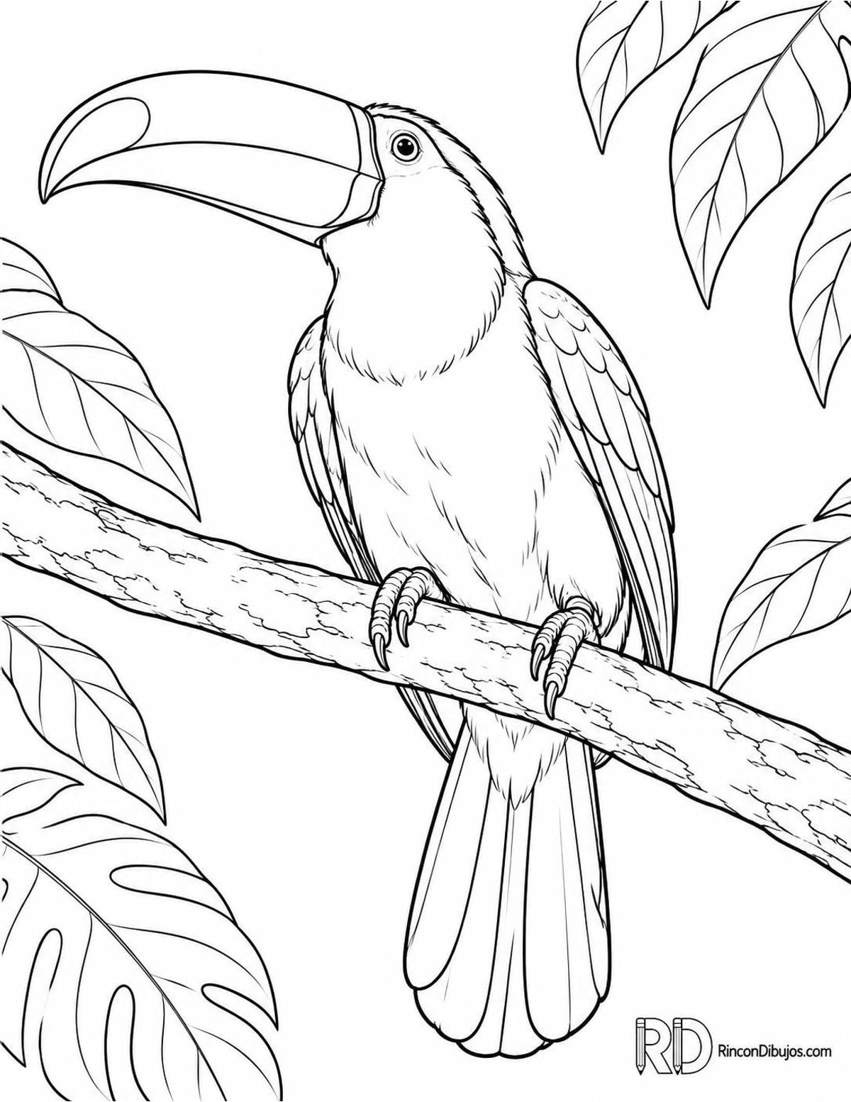 Dibujo de tucán posado para colorear Dibujo de tucán posado para colorear