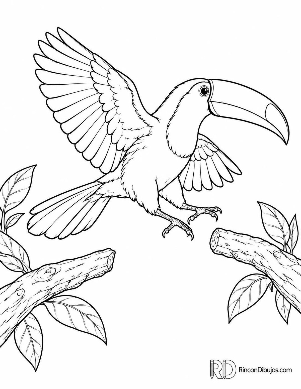 Dibujo de tucán saltando para colorear Dibujo de tucán saltando para colorear
