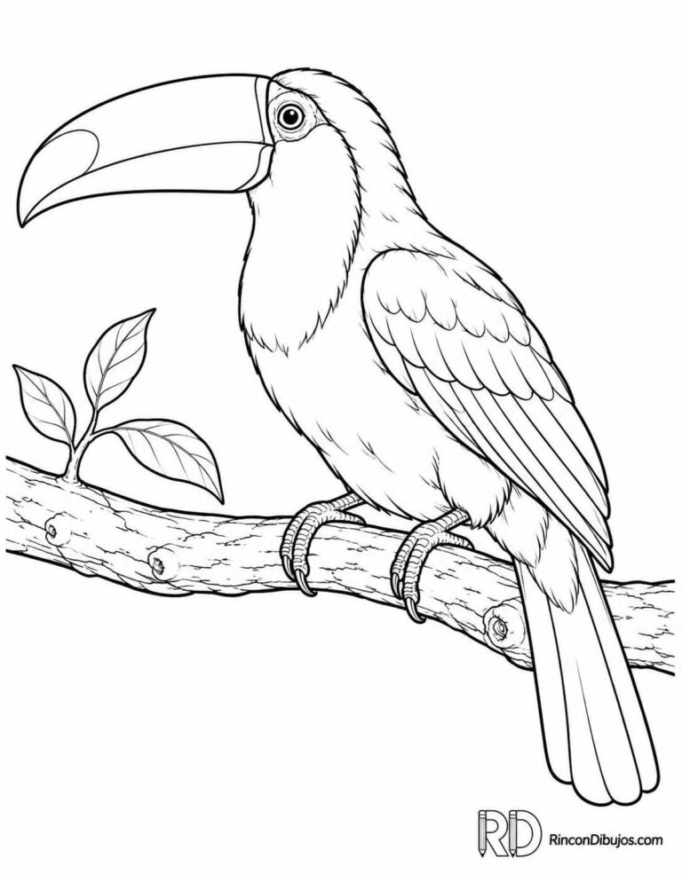 Dibujos de Tucanes para Colorear