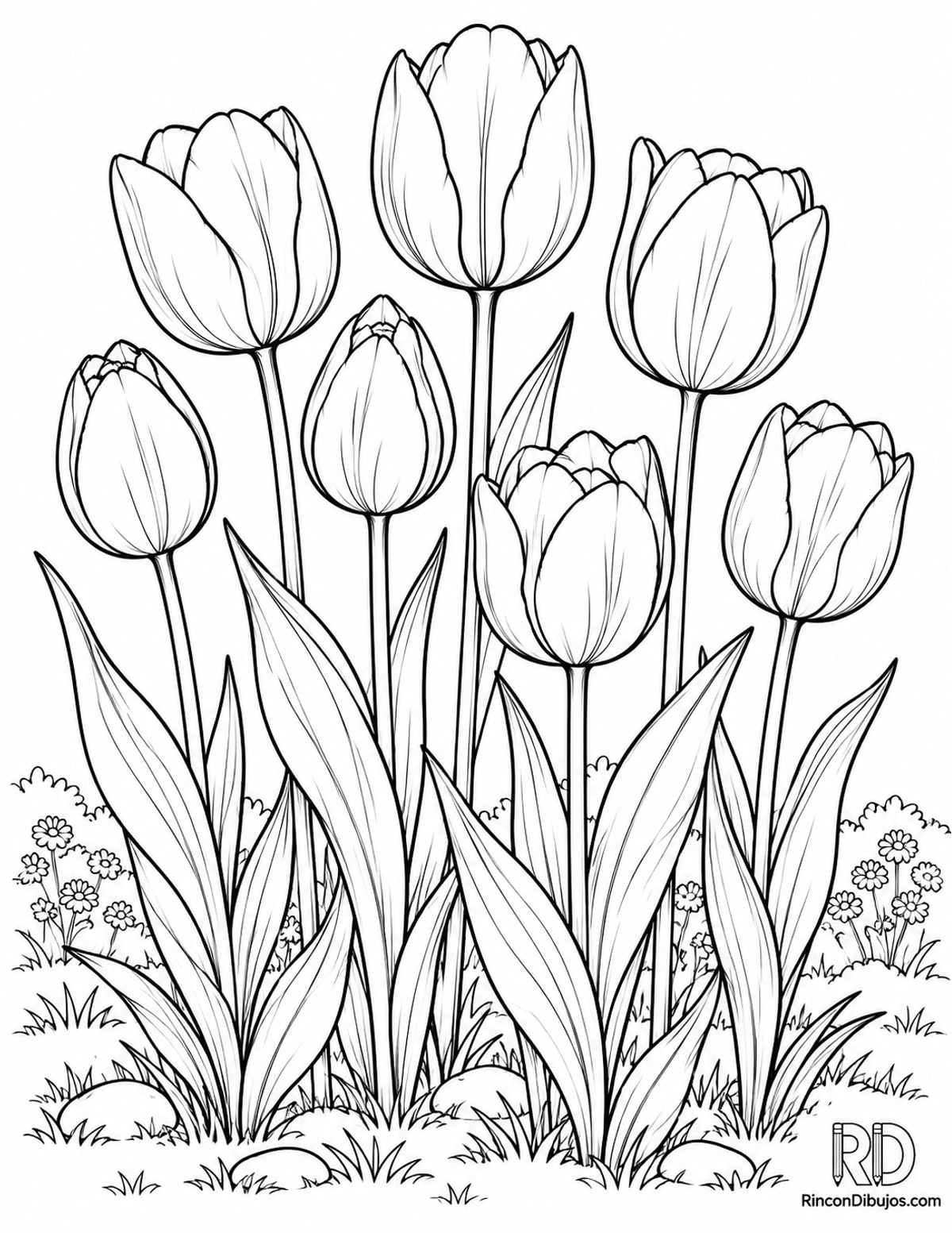 Dibujo de tulipanes de jardín para colorear Dibujo de tulipanes de jardín para colorear
