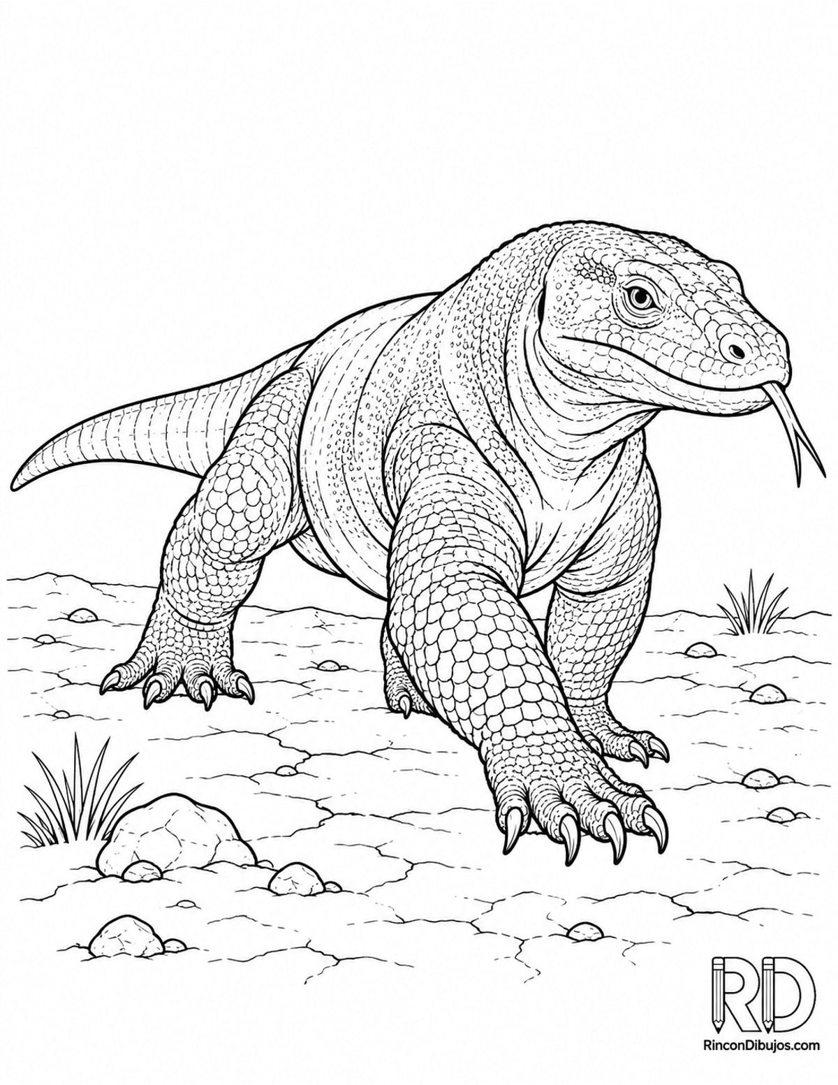 Dibujo de varano de Komodo para colorear