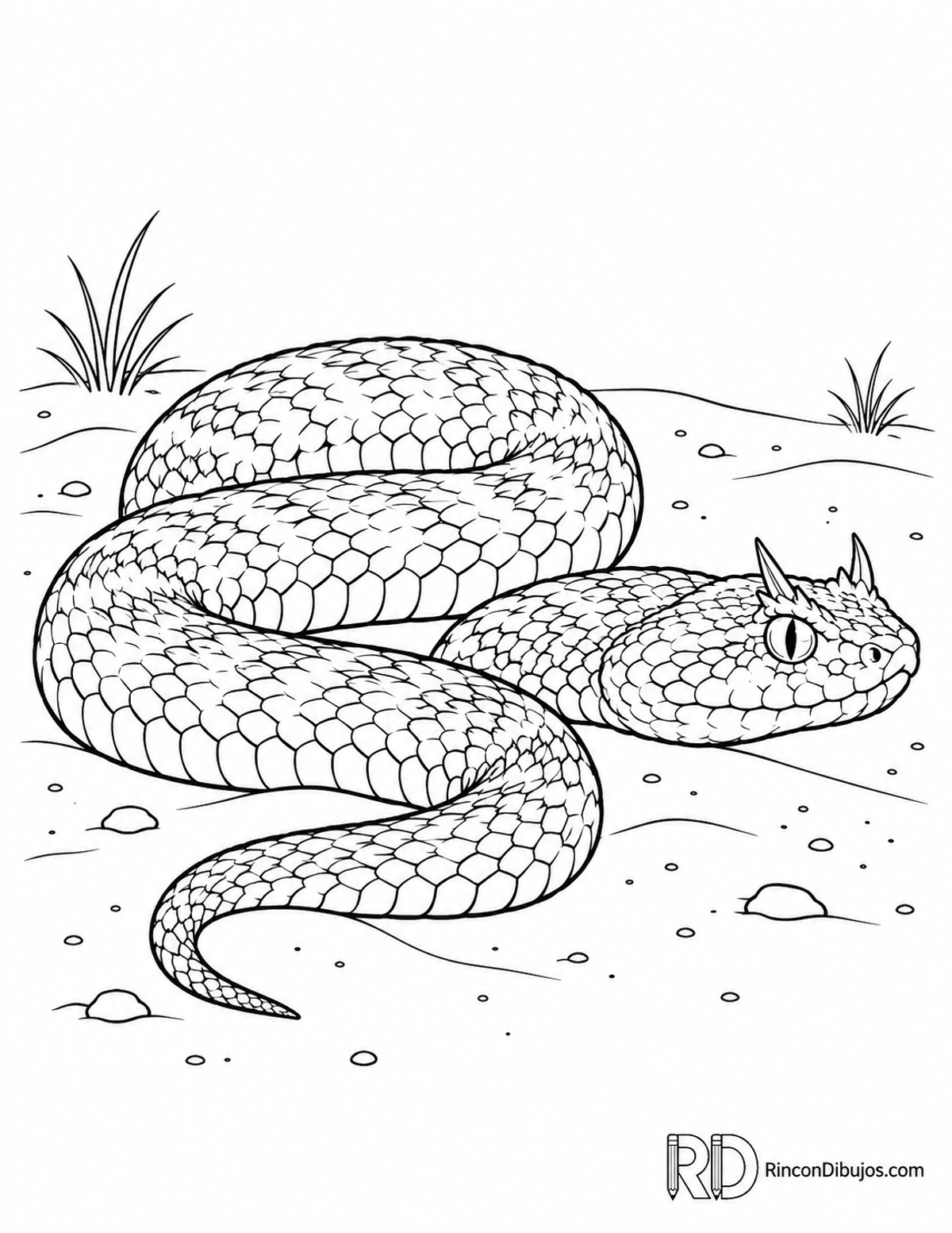 Dibujo de víbora cornuda para colorear Dibujo de víbora cornuda para colorear