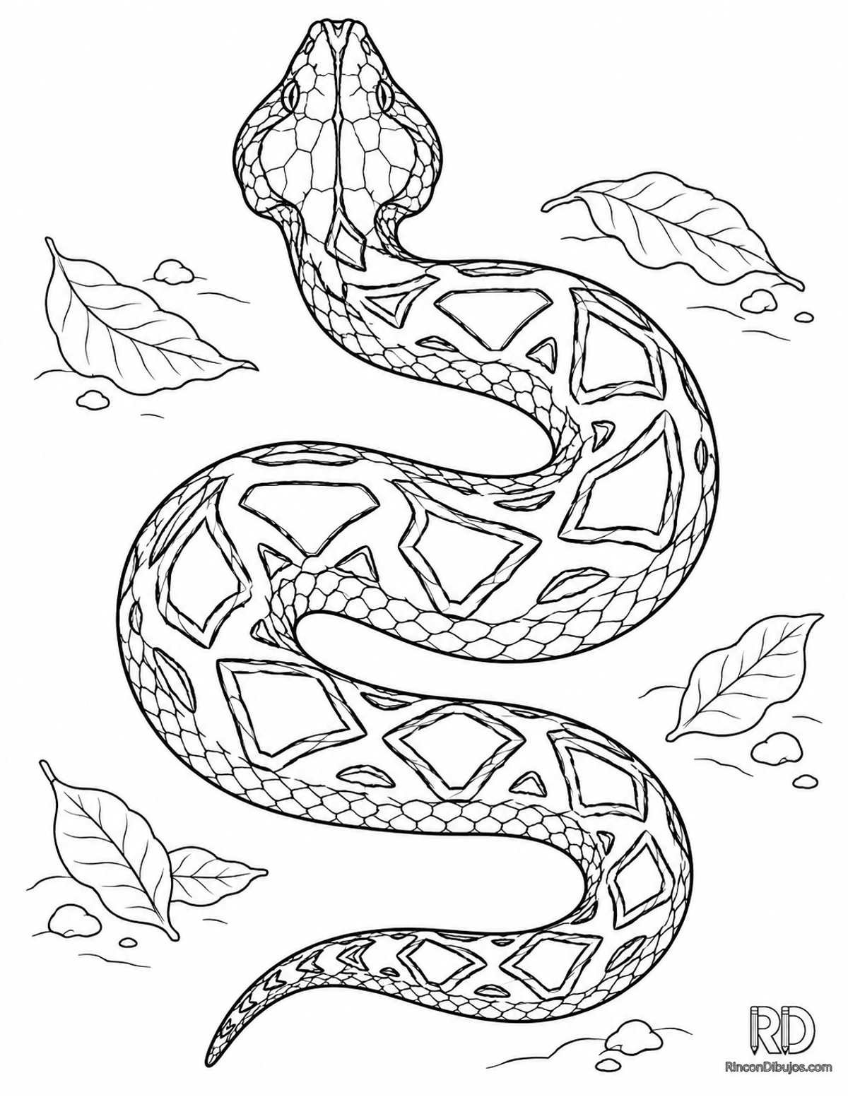 Dibujo de víbora de Gabón para colorear Dibujo de víbora de Gabón para colorear