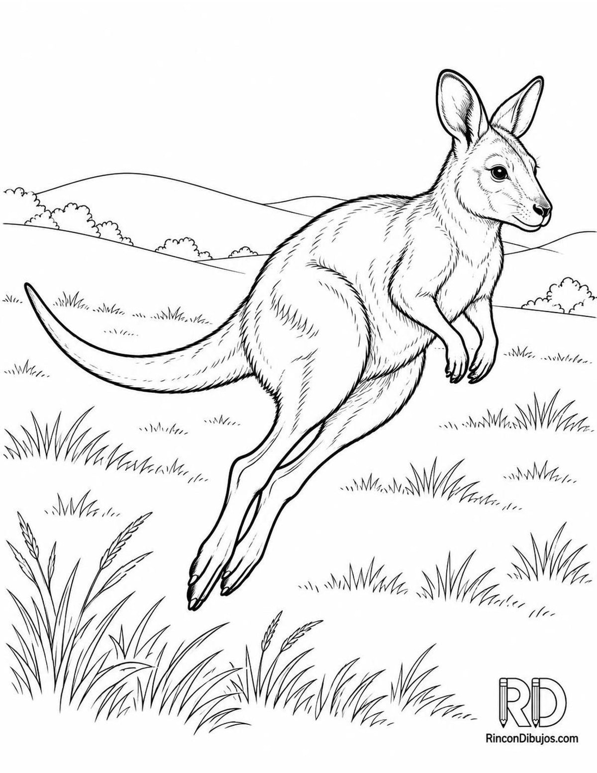Dibujo de wallaby saltando para colorear Dibujo de wallaby saltando para colorear