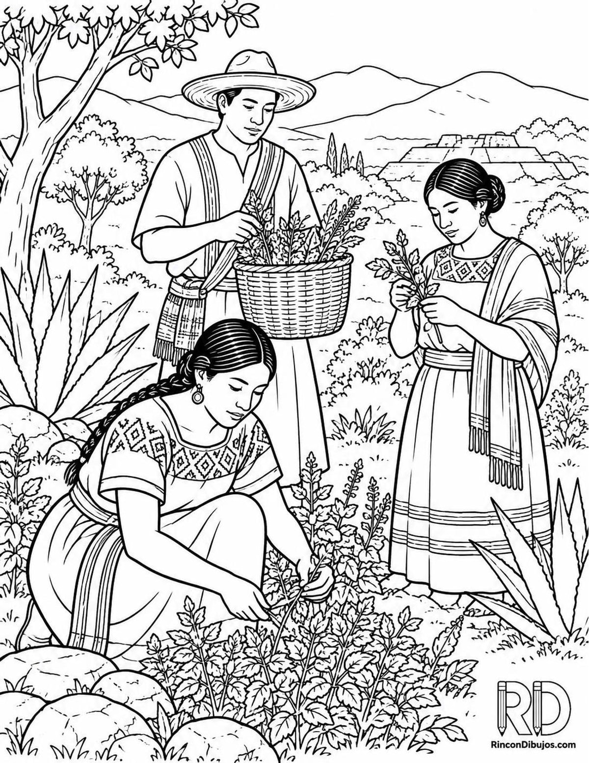 Dibujo de Zapotecas recolectando hierbas para colorear Dibujo de Zapotecas recolectando hierbas para colorear