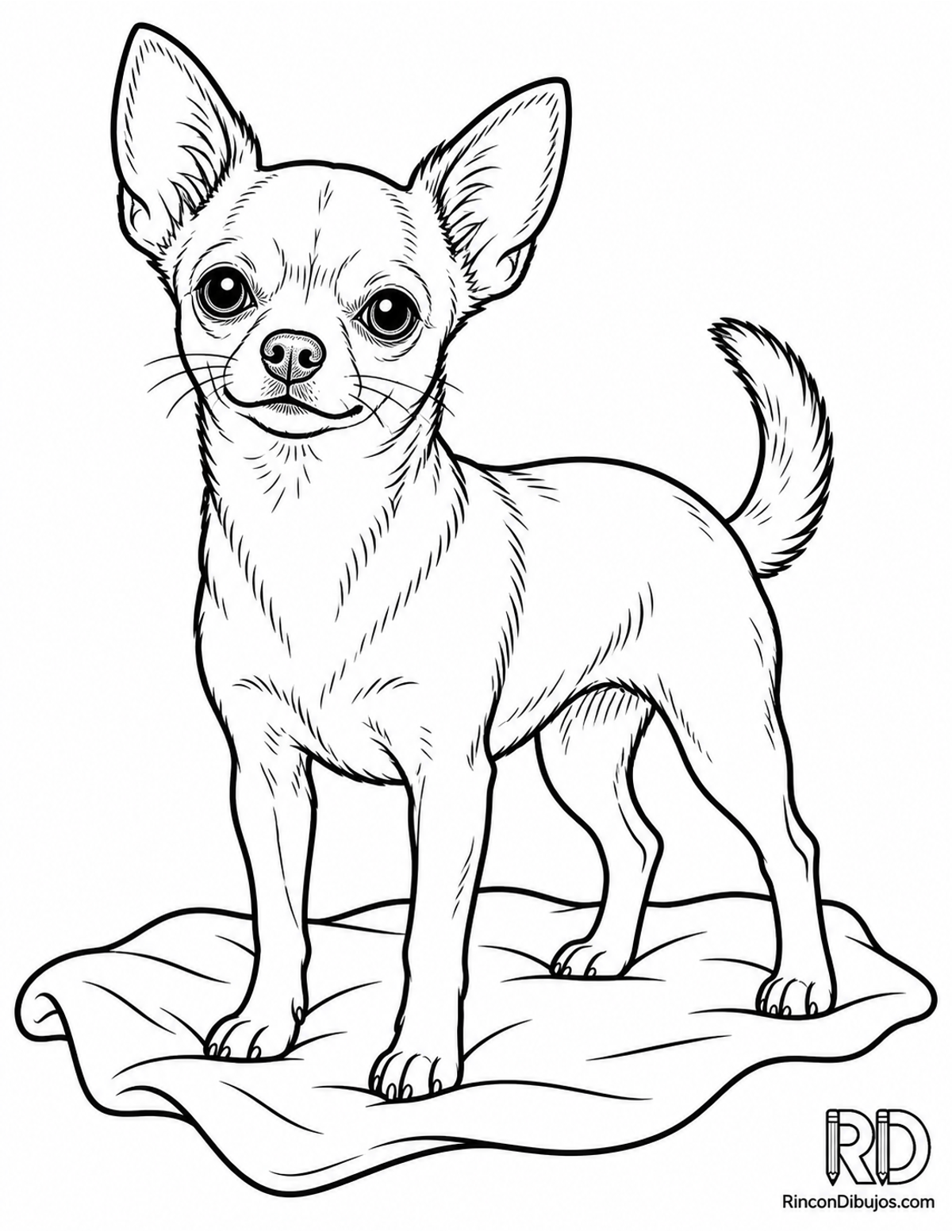 Dibujo de chihuahua para colorear Dibujo de chihuahua para colorear