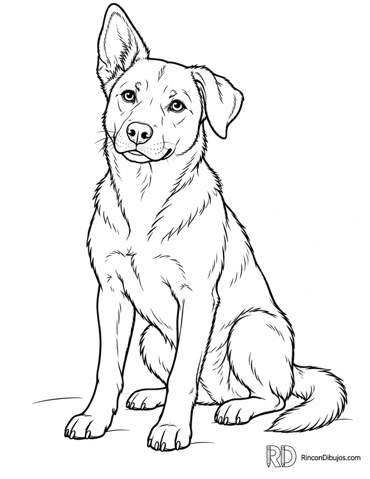Dibujo de perro mestizo para colorear Dibujo de perro mestizo para colorear