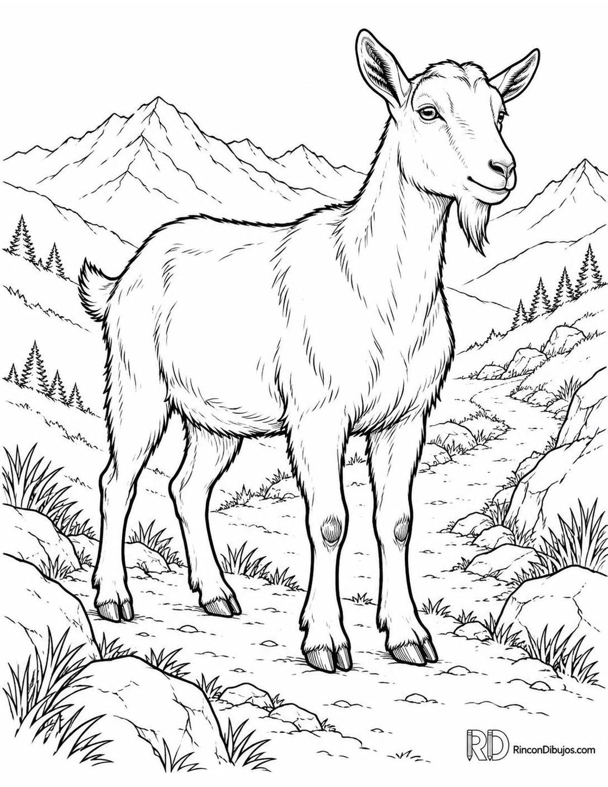 Dibujo de cabra alpina para colorear Dibujo de cabra alpina para colorear