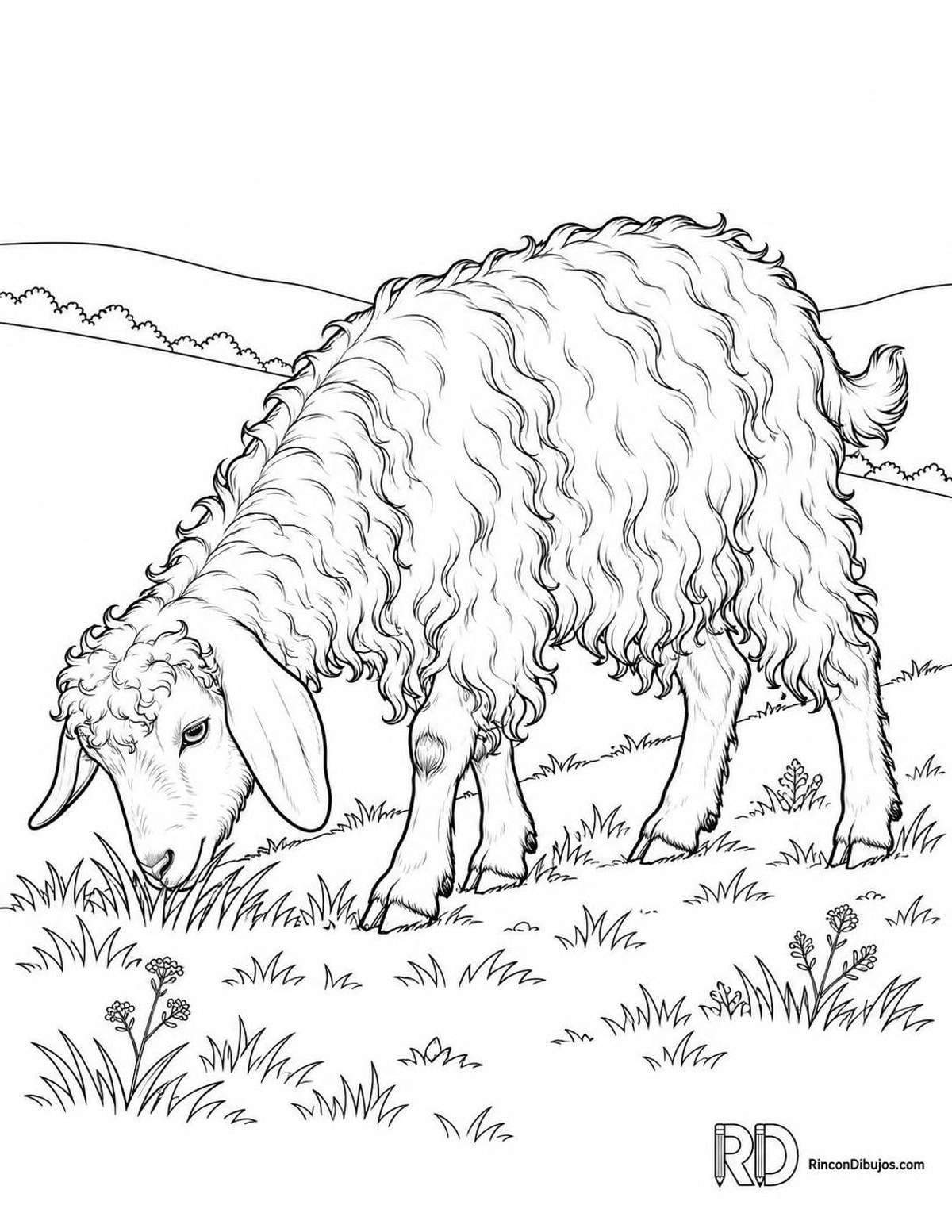 Dibujo de cabra angora para colorear Dibujo de cabra angora para colorear