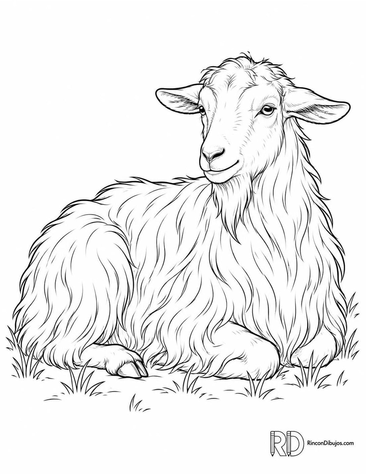 Dibujo de cabra cachemira para colorear Dibujo de cabra cachemira para colorear